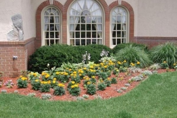 Àrea exterior de l'allotjament