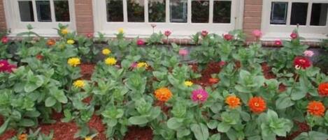 A flower bed with various colorful flowers in front of a building with multiple windows.