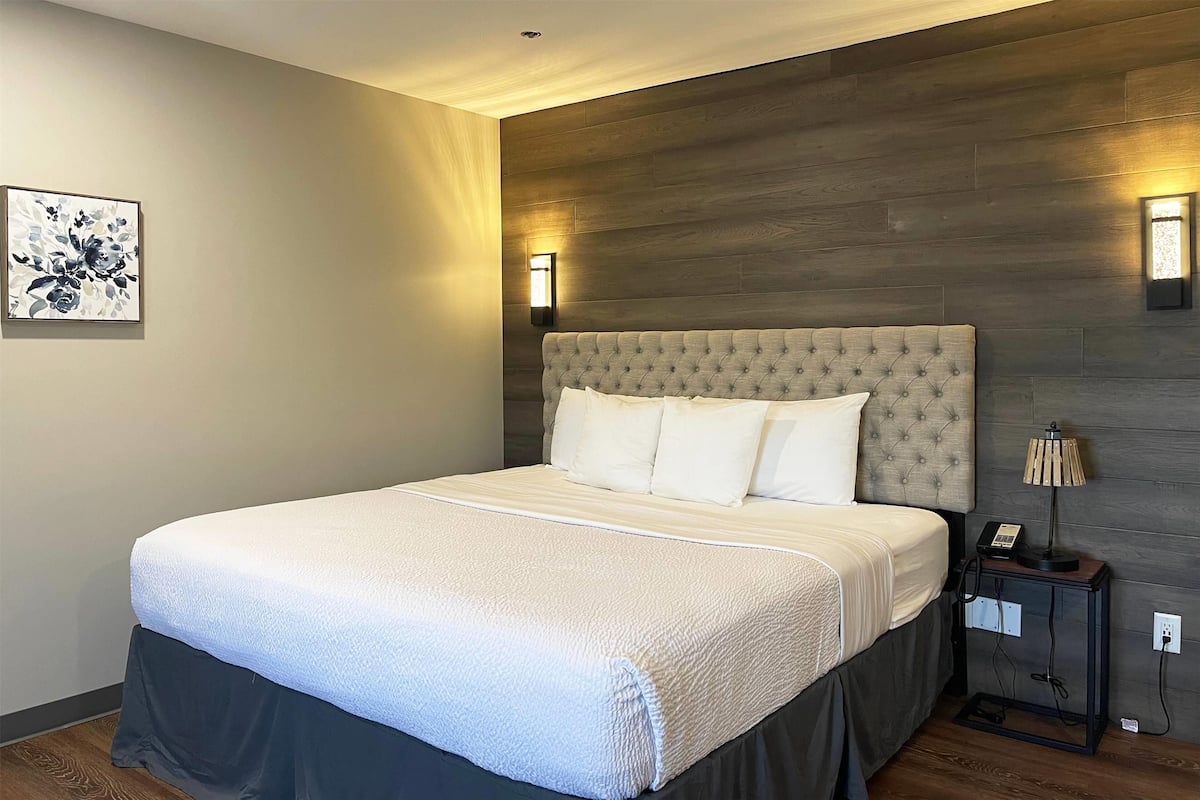 Deluxe Studio Suite, 1 King Bed, Non Smoking | 1 bedroom, laptop workspace, blackout drapes, iron/ironing board