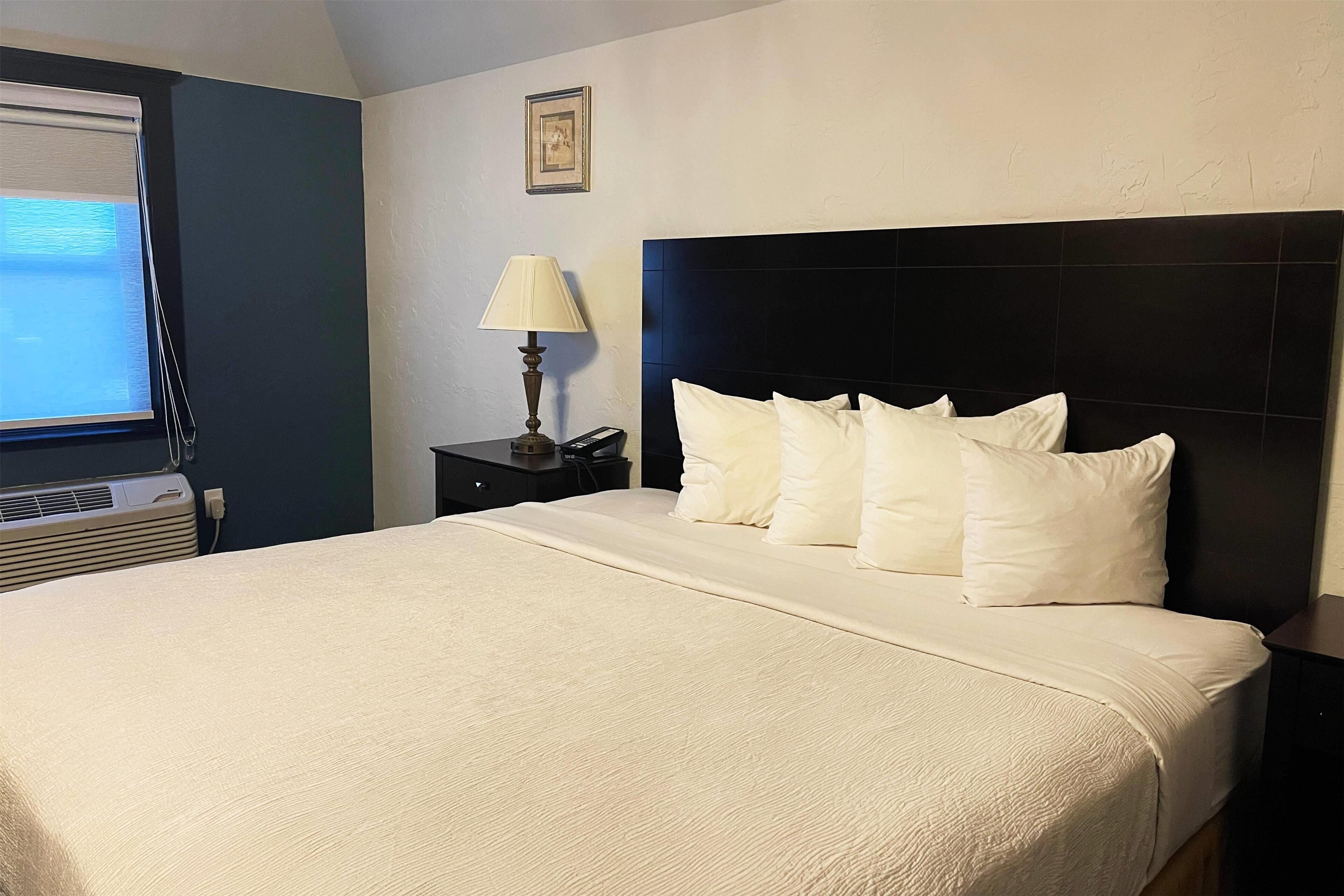 开间套房, 1 张特大床, 无烟房 | 笔记本电脑工作区、遮光窗帘、熨斗/熨衣板、免费 WiFi