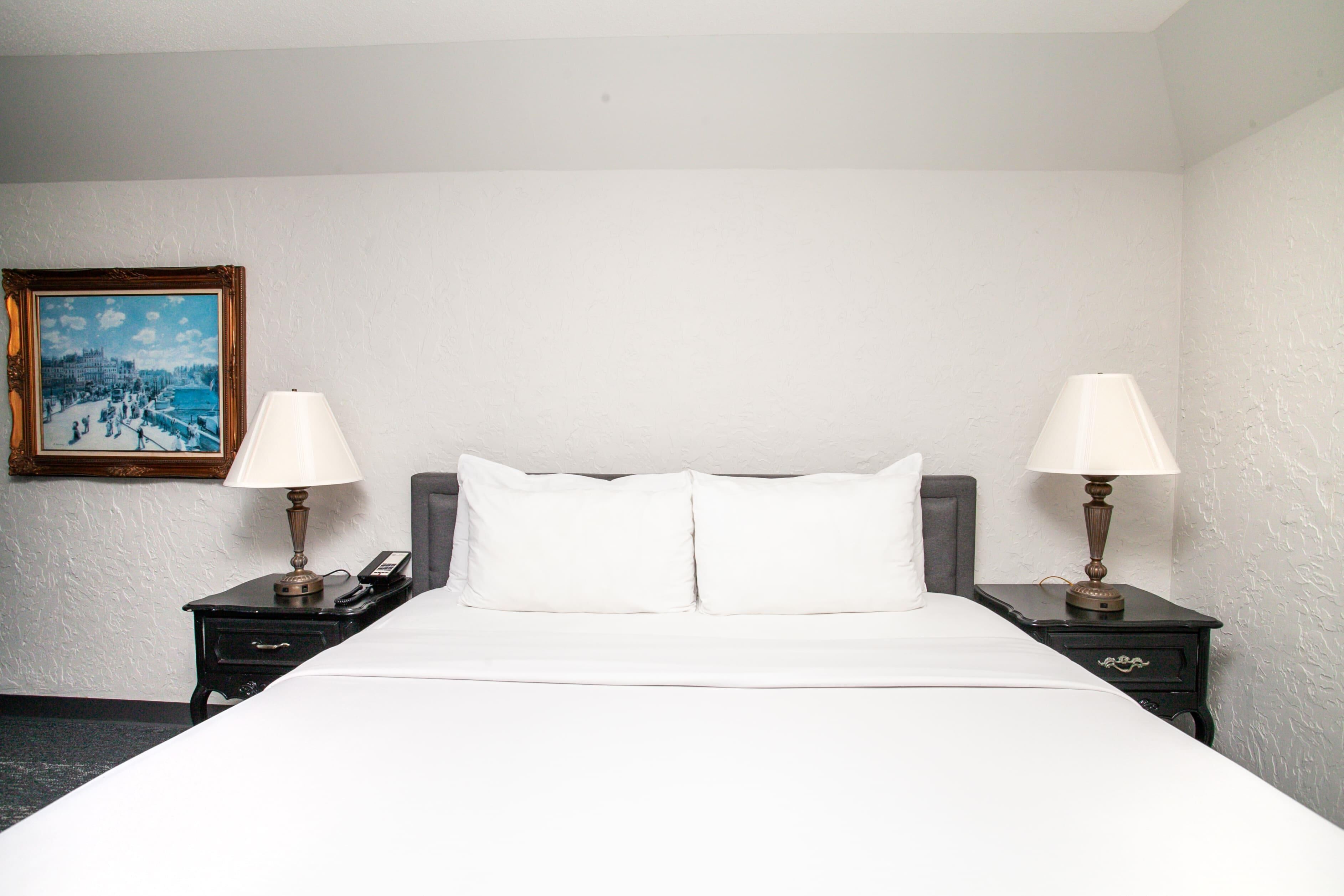 Deluxe Room, 1 King Bed, Non Smoking | Laptop workspace, blackout drapes, iron/ironing board, free WiFi