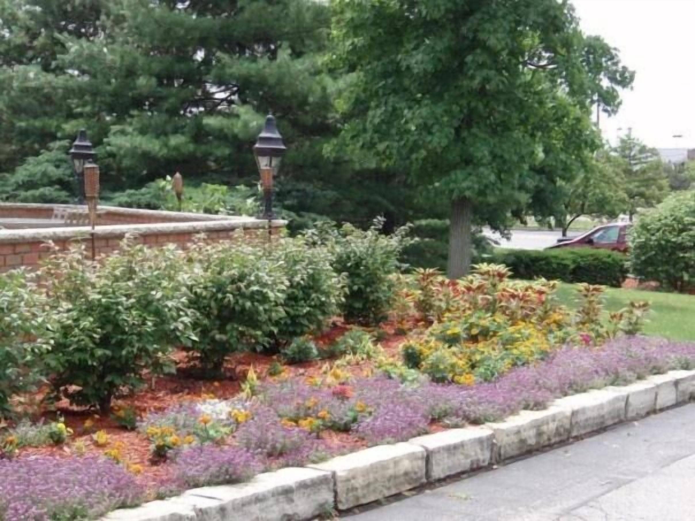 A landscaped garden area with a variety of plants and flowers, bordered by a stone wall.