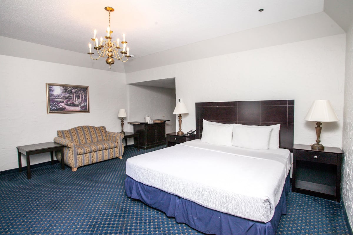 Junior Suite, 1 King Bed, Non Smoking | Laptop workspace, blackout curtains, iron/ironing board, free WiFi