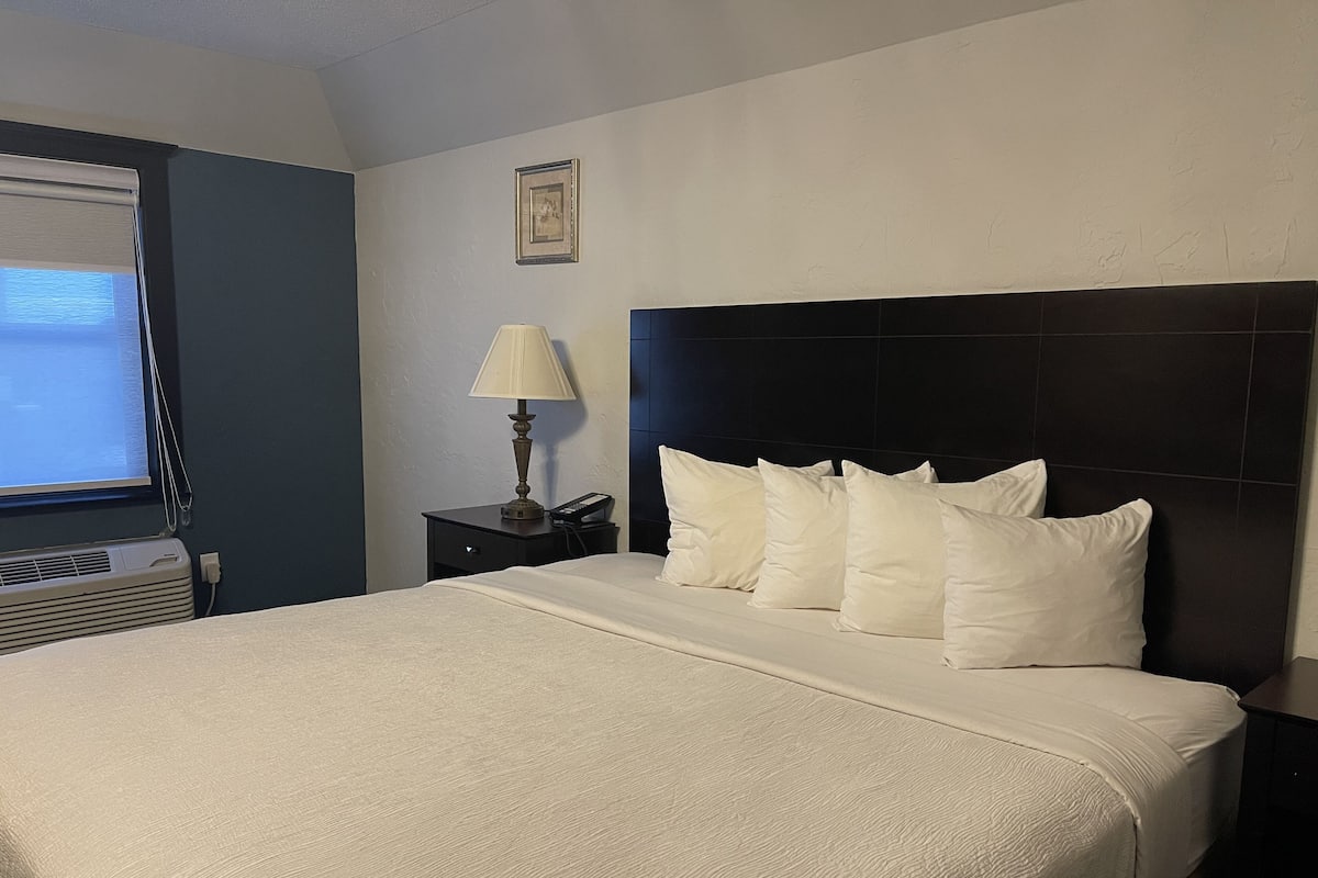 Standard Studio Suite | 1 bilik tidur, ruang kerja komputer riba, langsir/tirai gelap terus