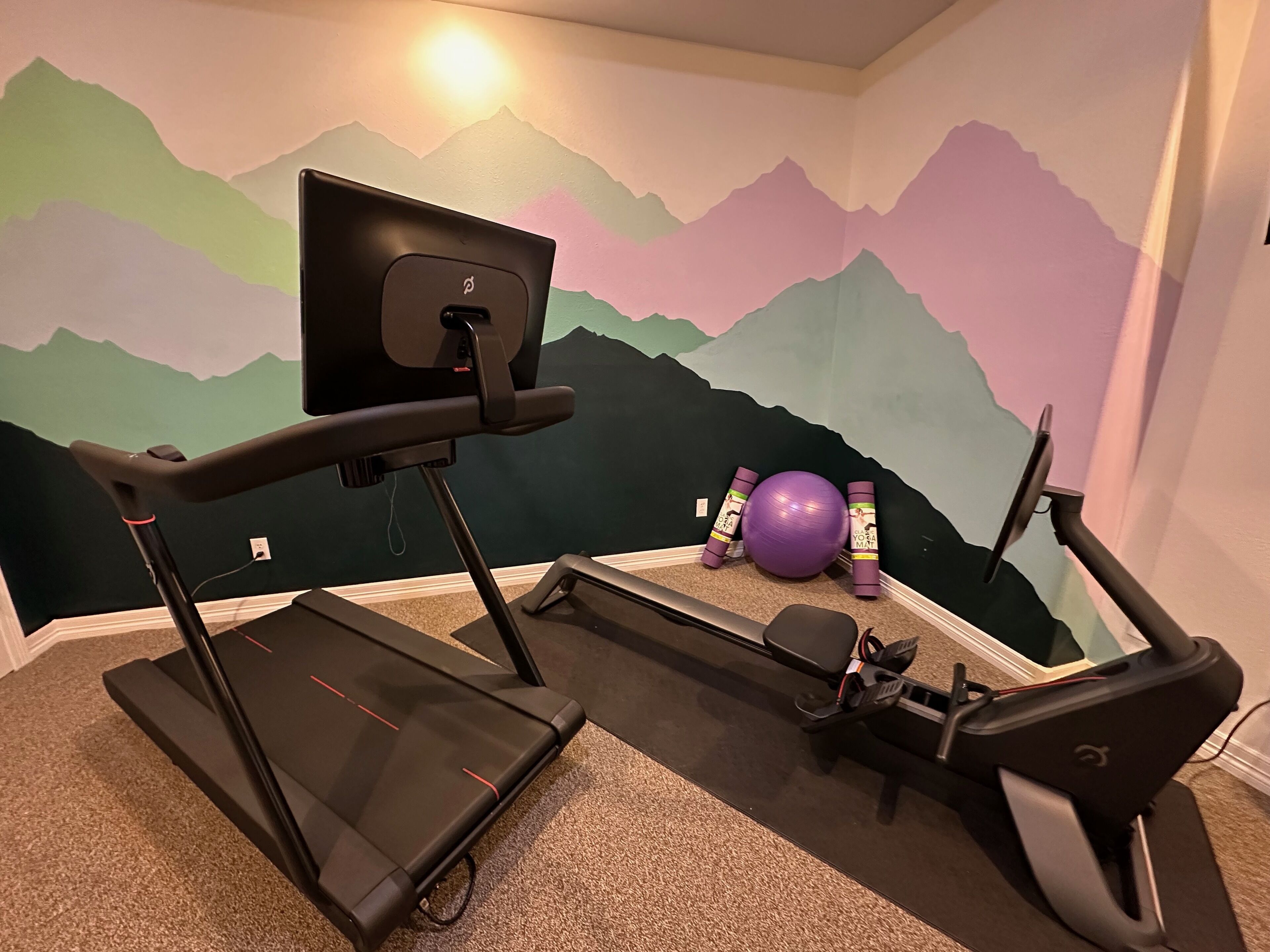 A home gym with a treadmill, elliptical, and exercise ball, set against a mountain-themed wall.