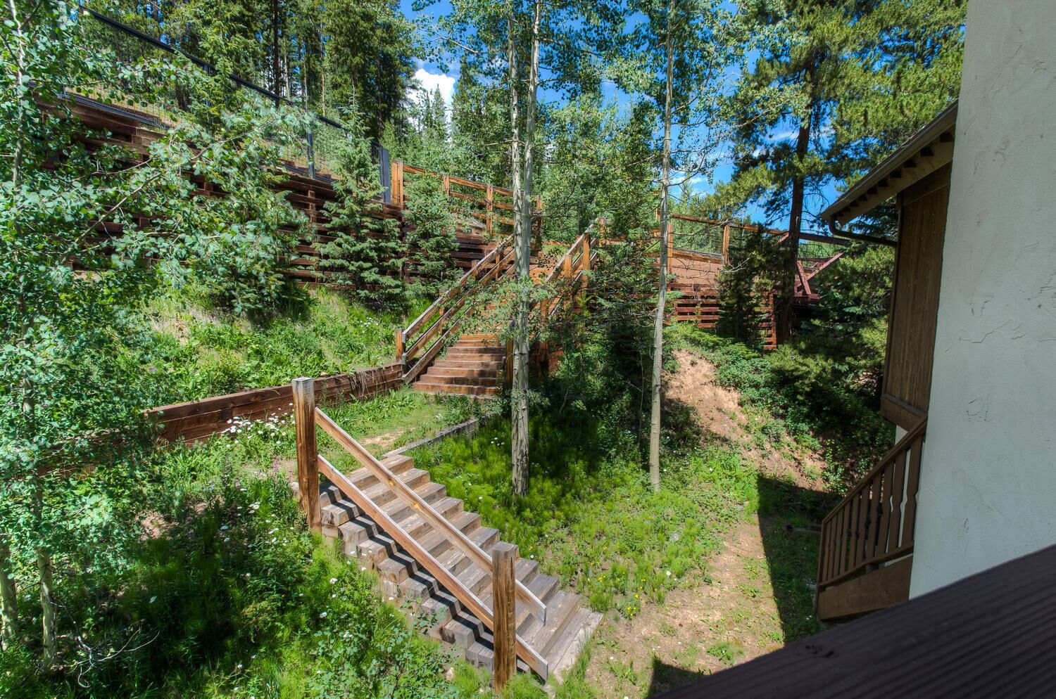 A wooden staircase surrounded by lush greenery and trees, leading to a building with a white exterior.