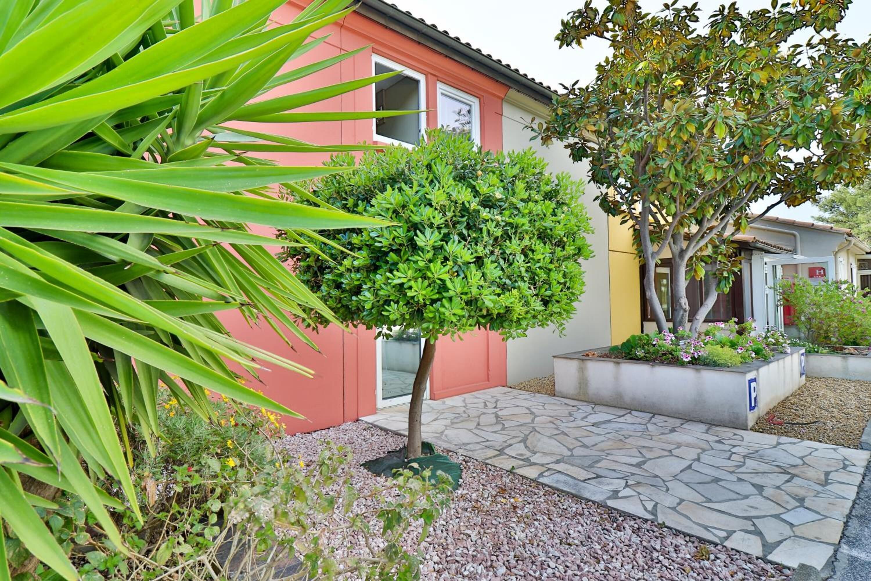 Un patio con un pequeño árbol, un sendero de piedra y un edificio con fachada roja y amarilla.