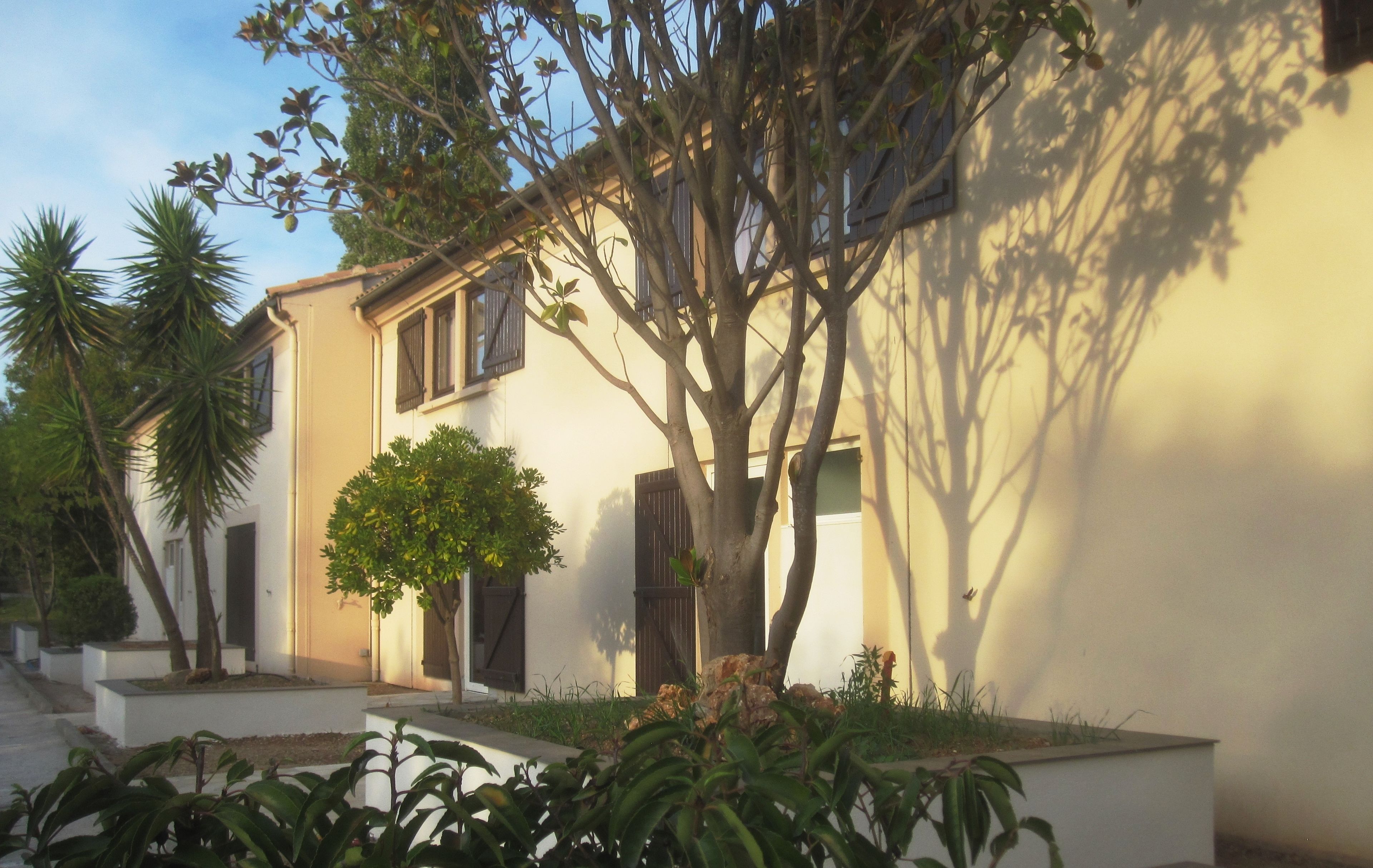 A building with a white facade, multiple windows, and a tree in the foreground.