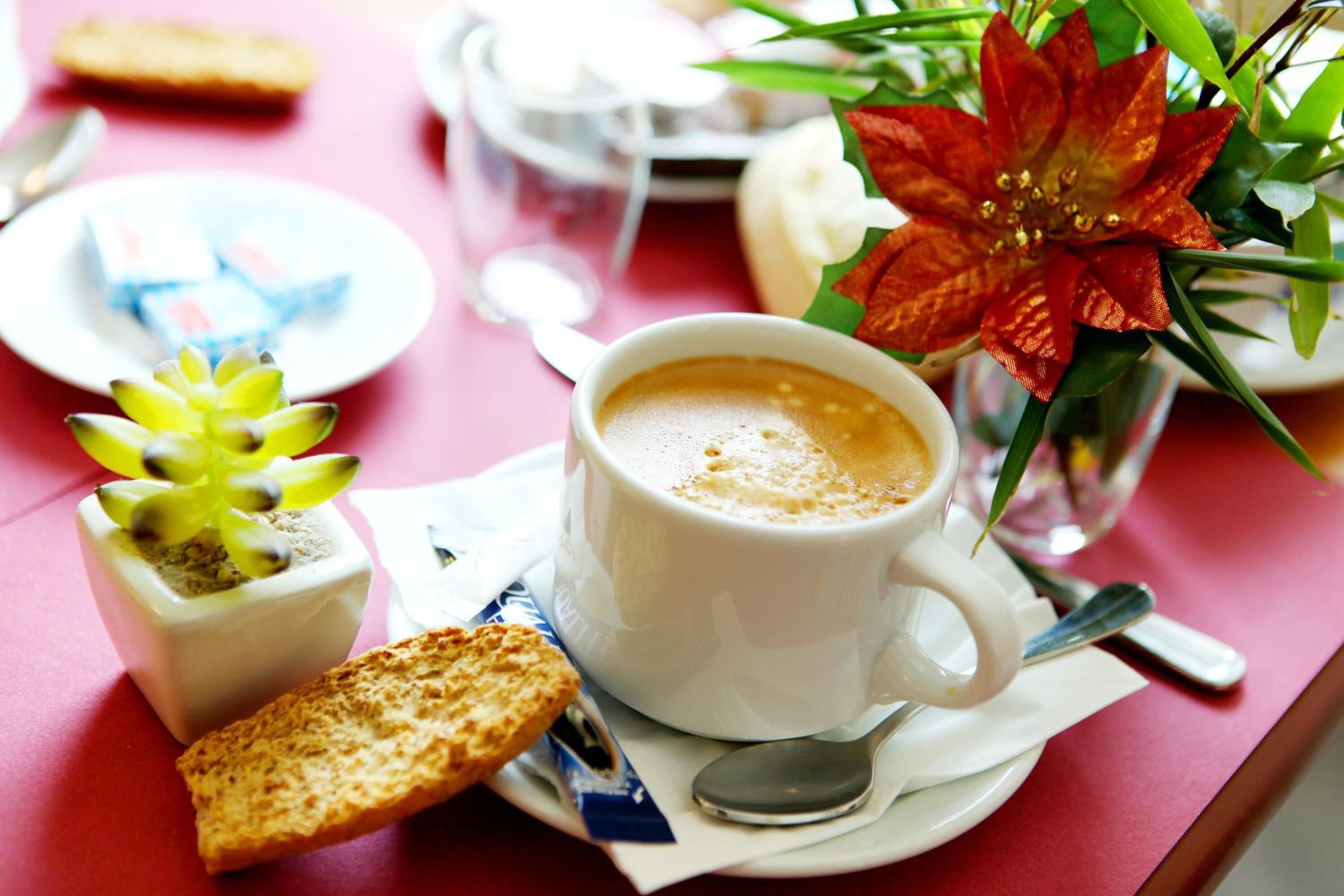 lunch and dinner served