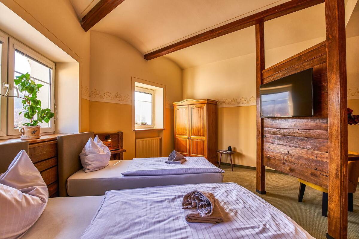 A hotel room with two beds, a wooden wardrobe, a television, and a window with a plant.