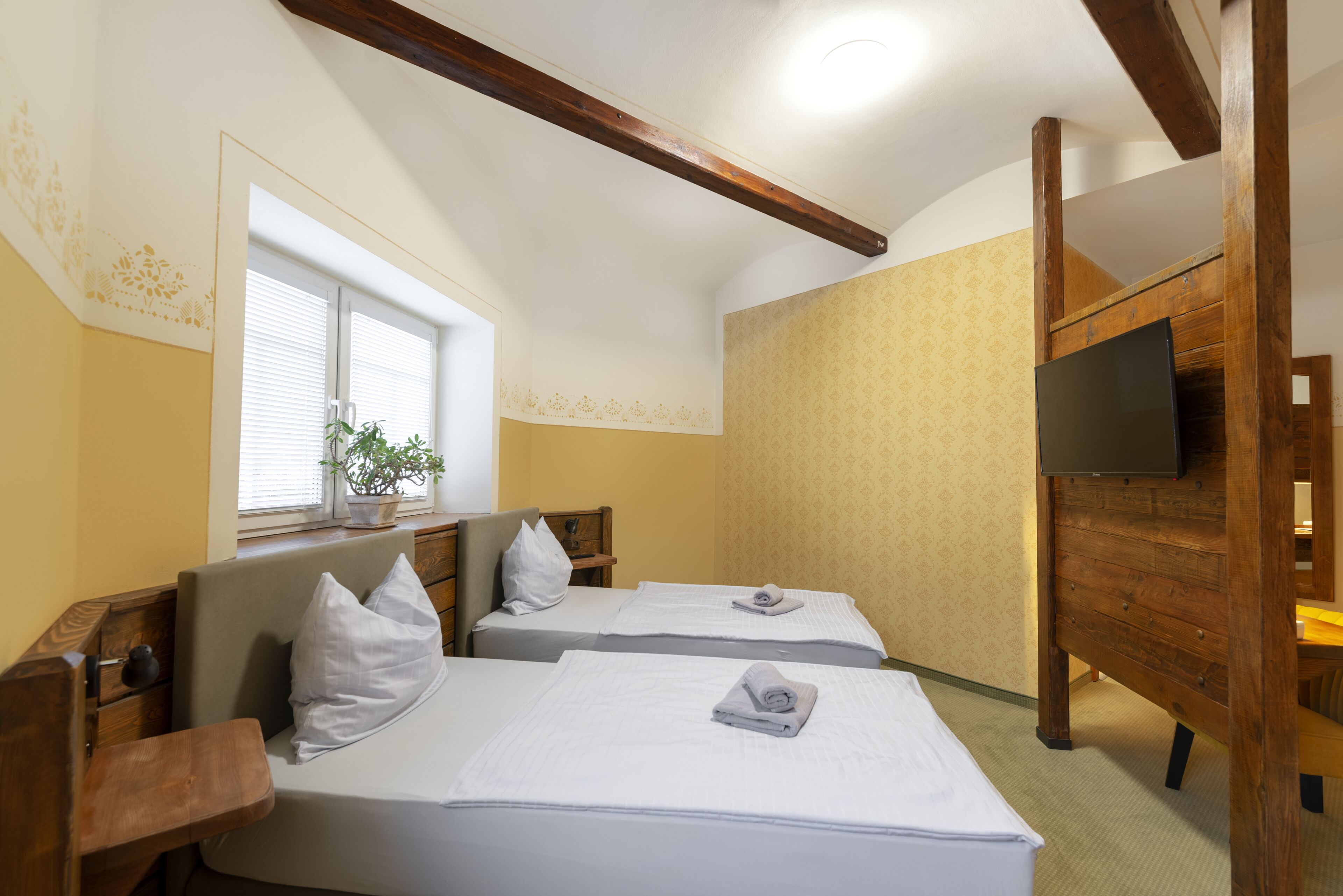 A hotel room with two beds, a TV, a window with blinds, and a plant.