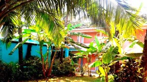 Un jardín con diversas plantas y un edificio al fondo.