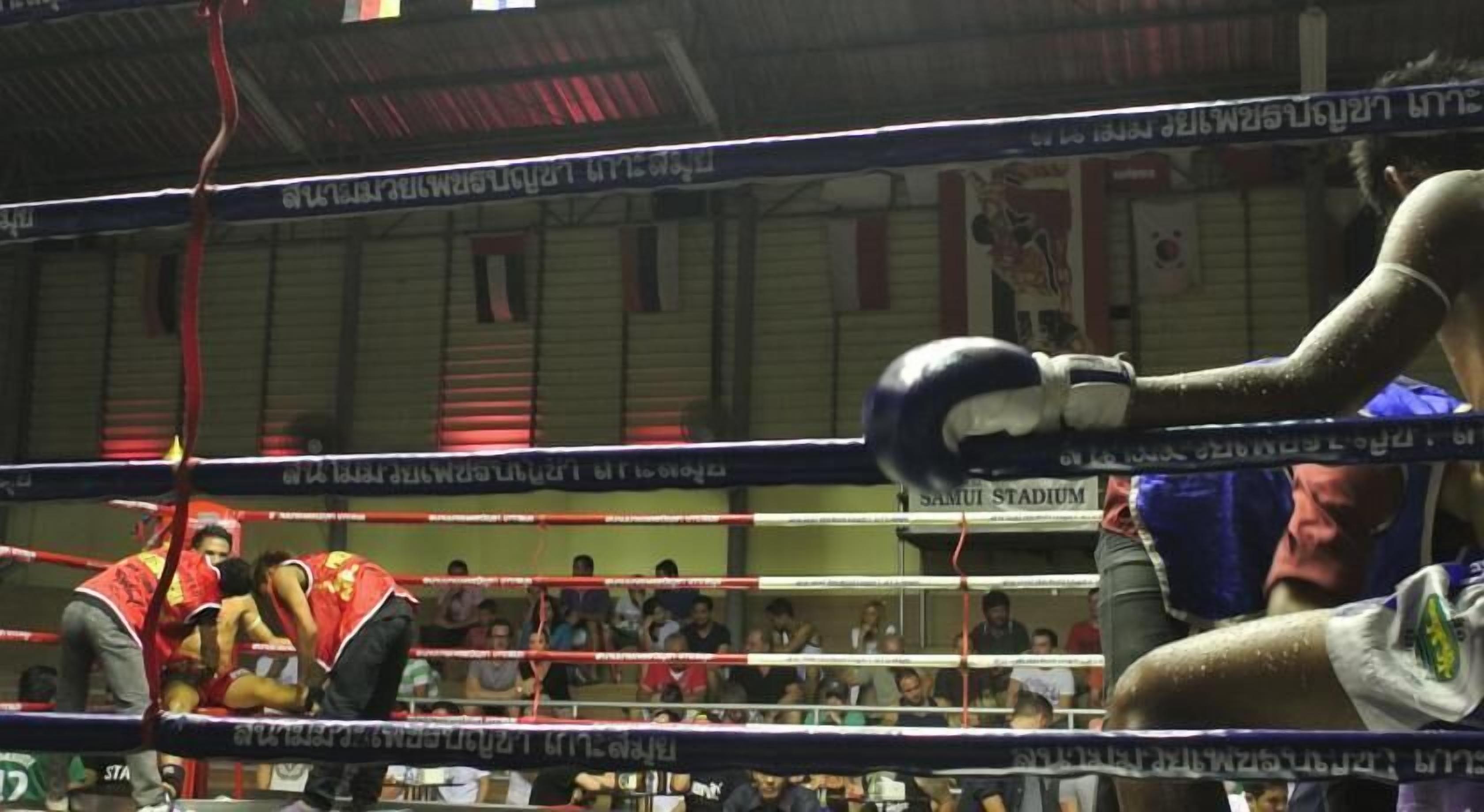 Un ring de boxeo con un público en el fondo.