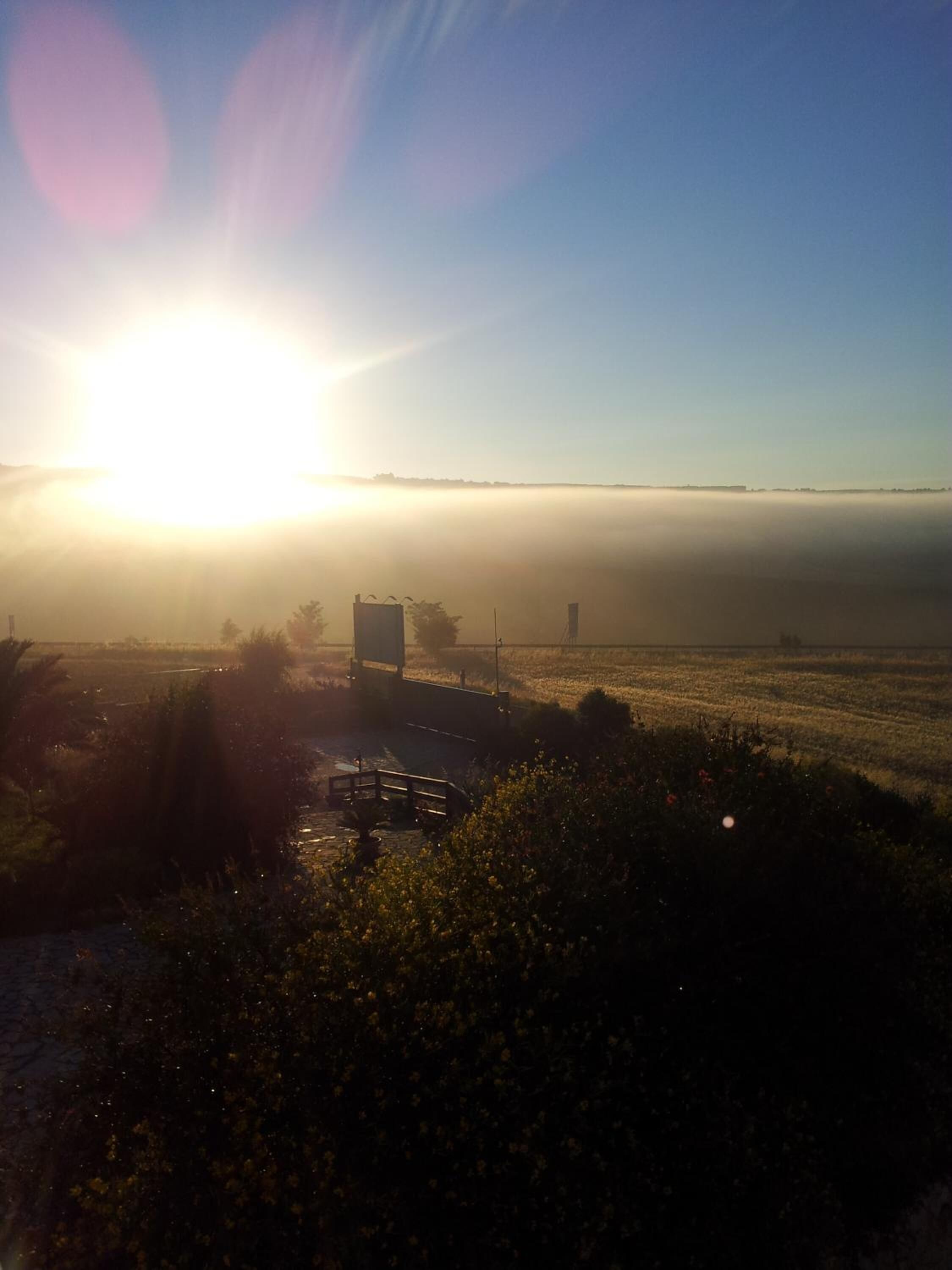 Foto - Agriturismo Terra dei Sassi