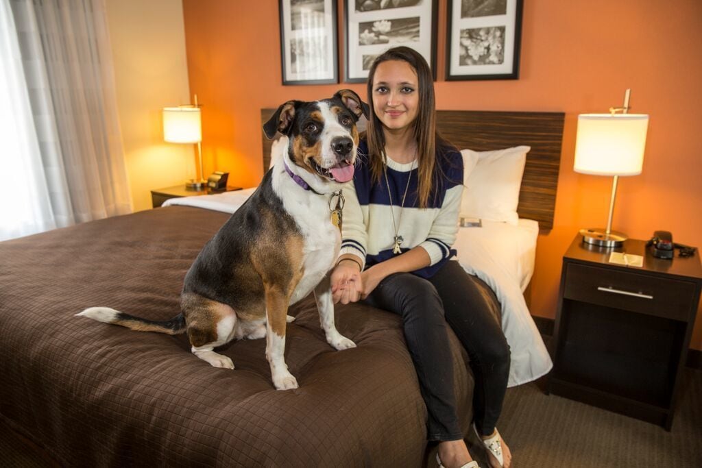 Uma pessoa sentada na cama com um cão, num quarto com cabeceira de madeira, duas luminárias de apoio e quadros nas paredes.