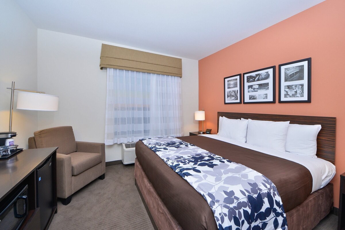 A hotel room with a bed, a desk, a chair, a window with sheer curtains, and three framed pictures on the wall.