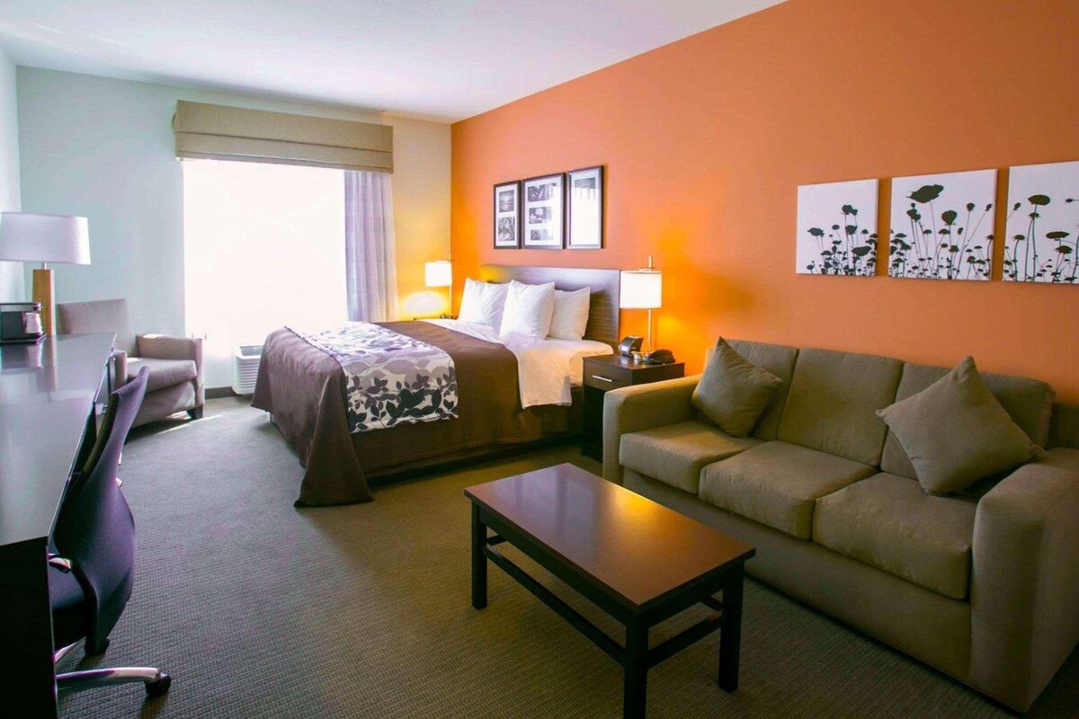 A hotel room with a bed, a sofa, a desk, and a chair.