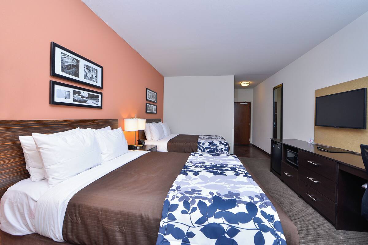 A hotel room with a large bed, a desk, a chair, a TV, and framed pictures on the wall.