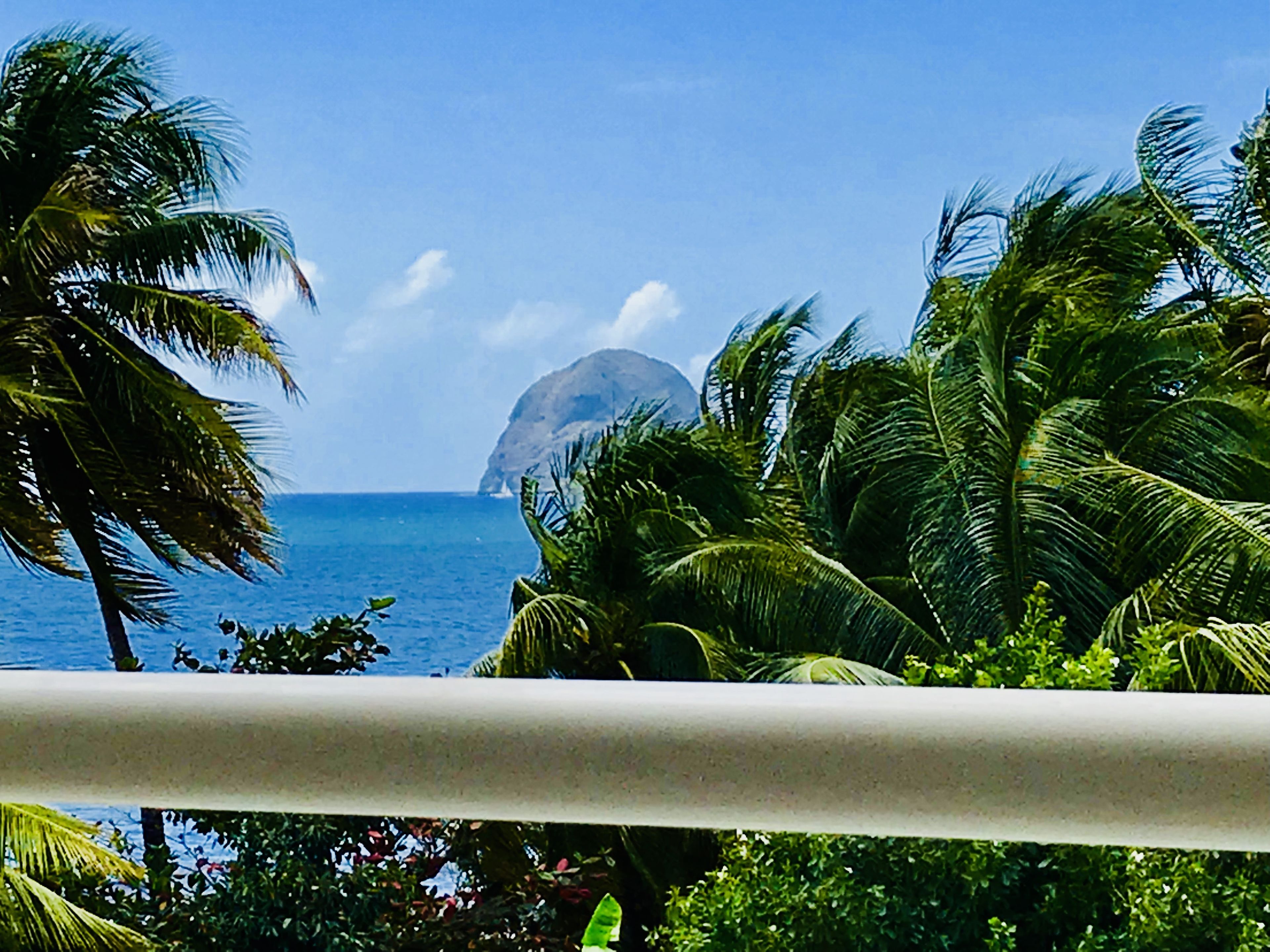 A view of a beach with palm trees and a distant mountain.