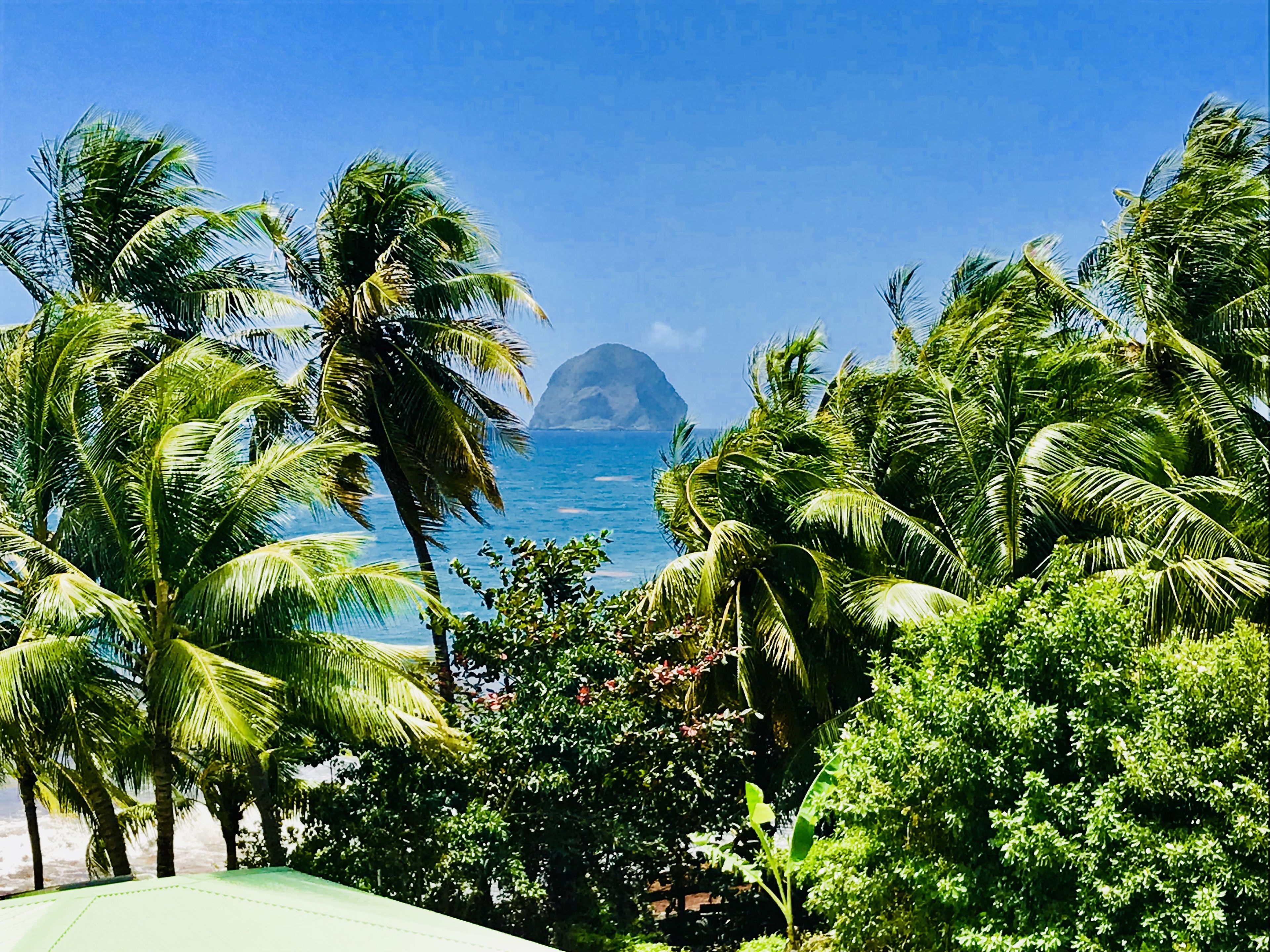 superior studio | beach/ocean view