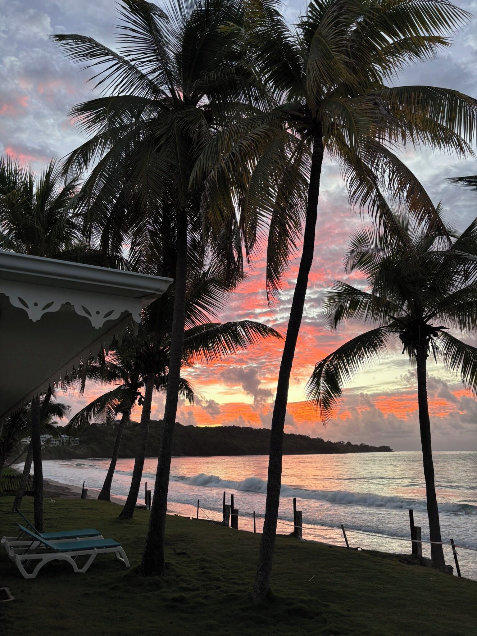 A beach with palm trees and a sunset.