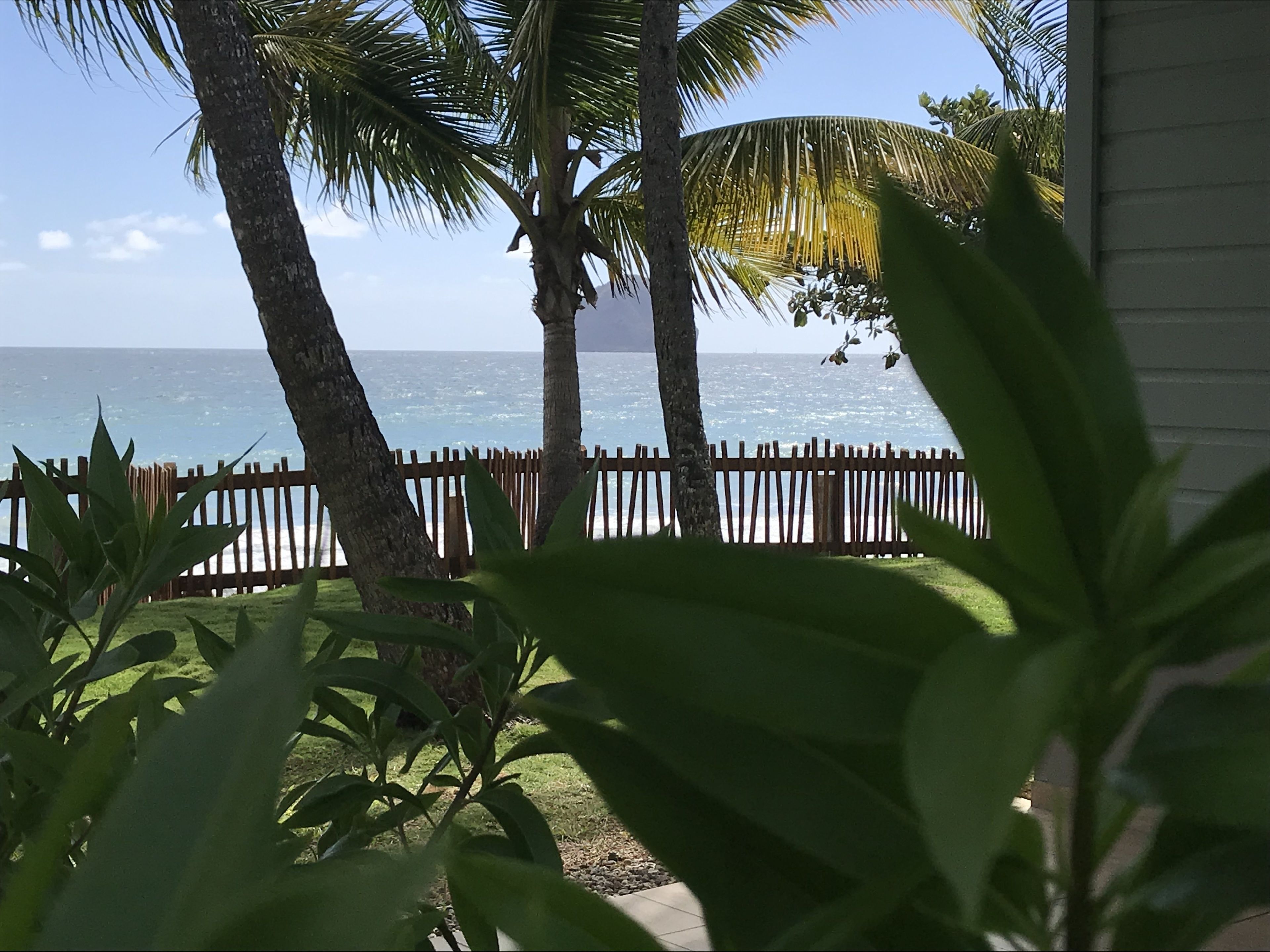 on the beach, white sand