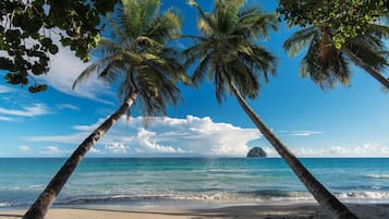 Vue sur la plage/l’océan