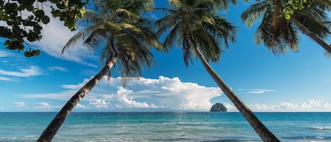 Vue sur la plage/l’océan