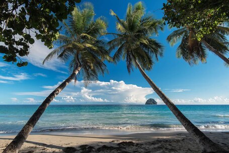 Beach/ocean view