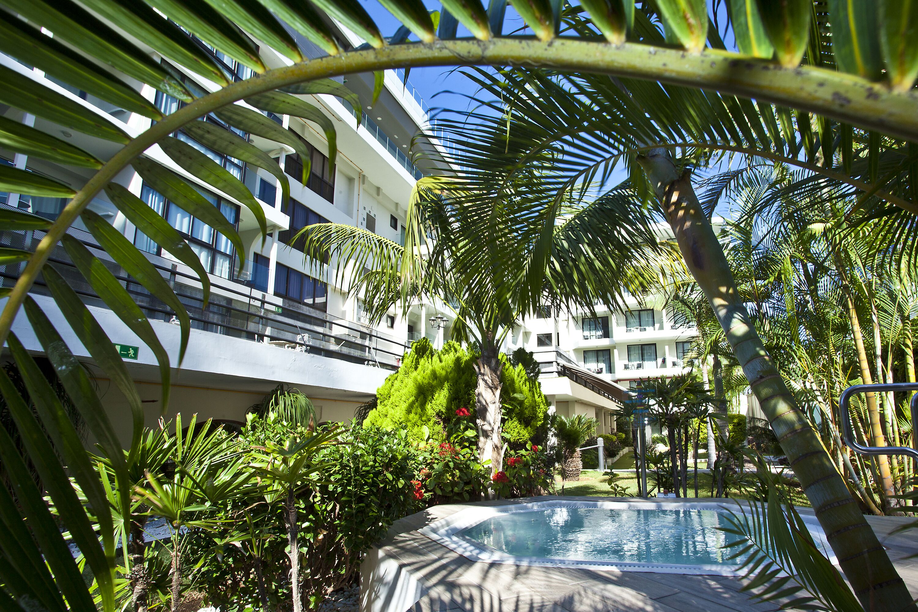 A pool surrounded by lush greenery and a modern building with balconies.