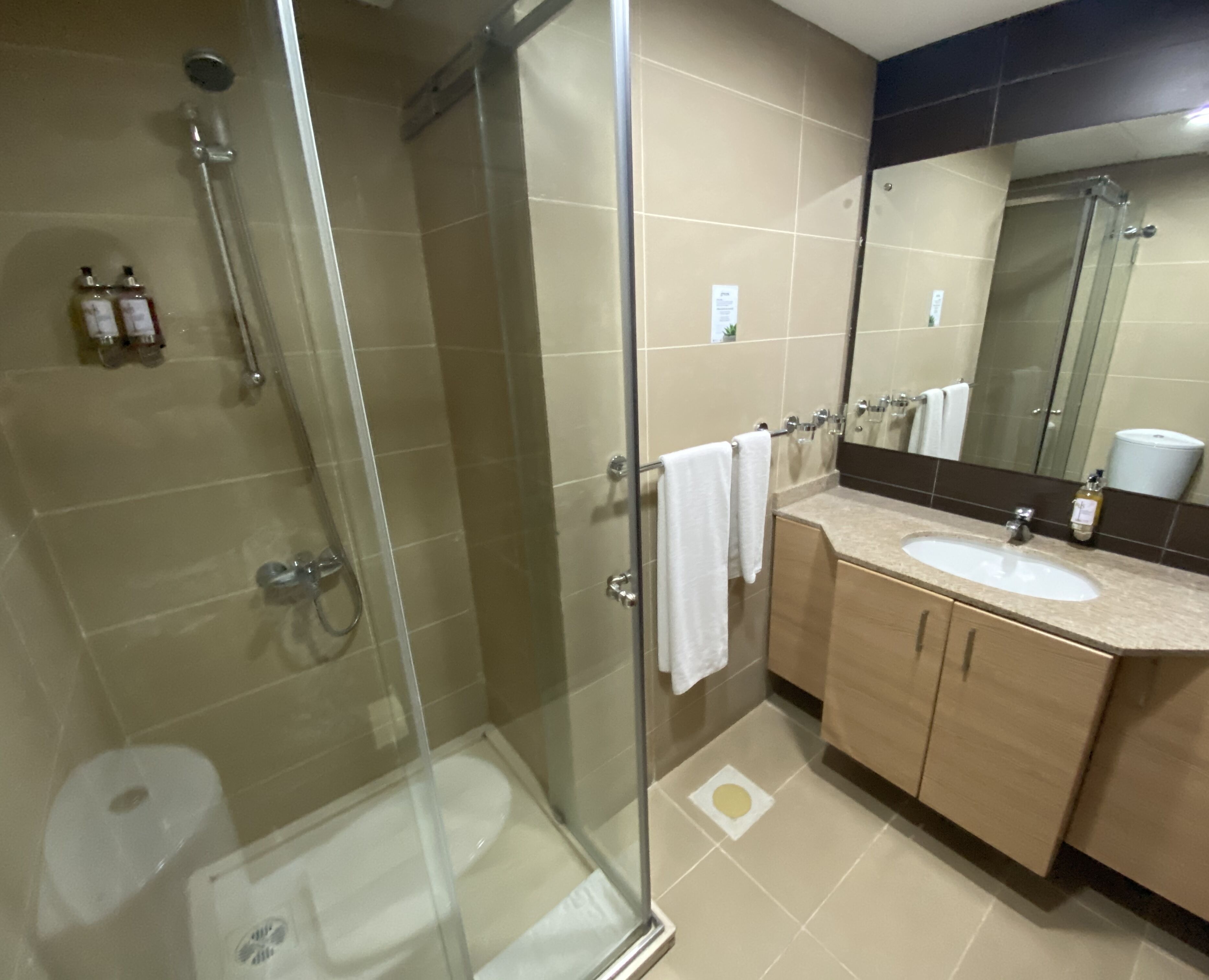 Een moderne badkamer met een douchecabine van glas, een wastafel en een grote spiegel.