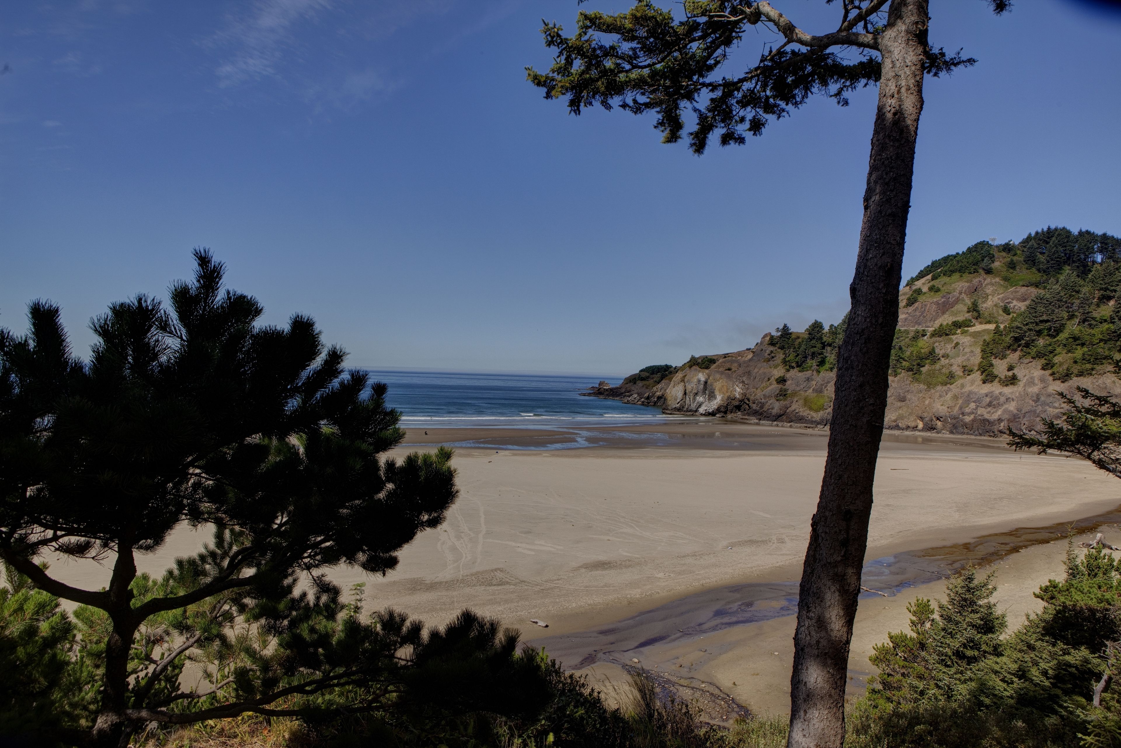 A beach with a clear sky, surrounded by trees and hills.