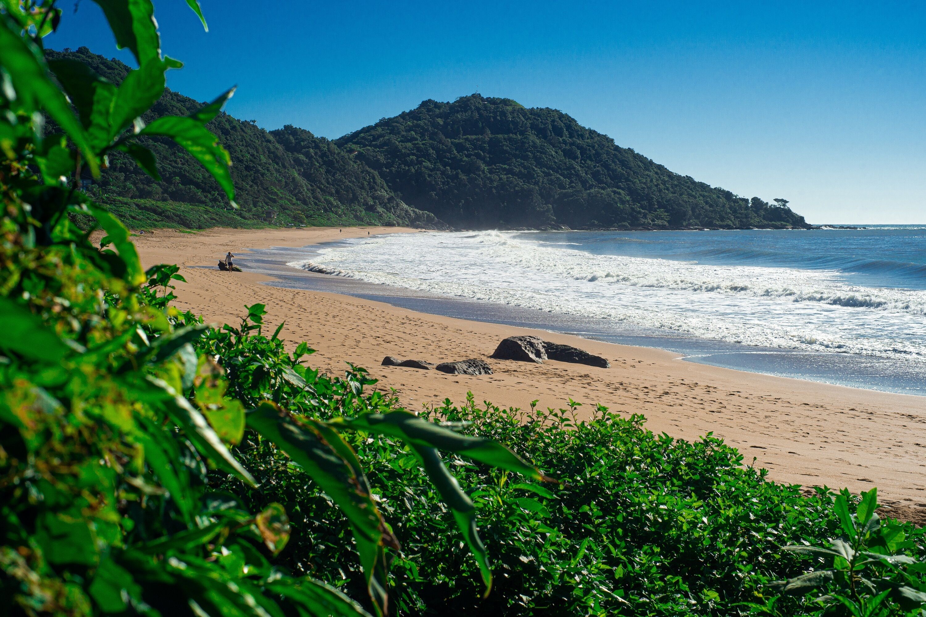 A beach with a mountain in the background and lush greenery in the foreground.