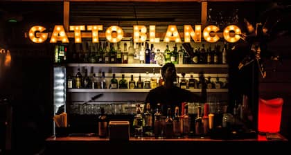 Gatto Blanco Party Hotel