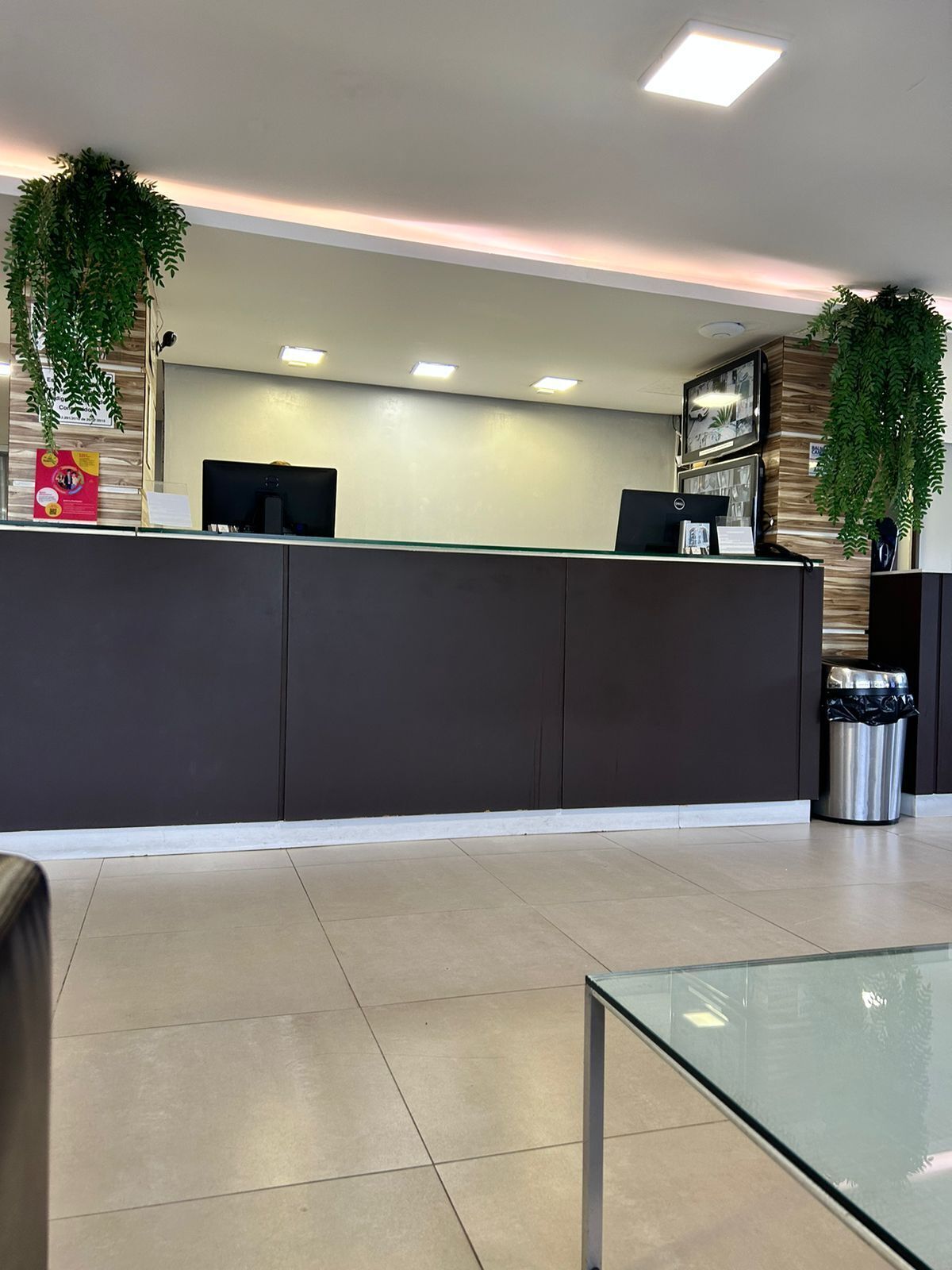 Foto - Hotel Palmas Executivo