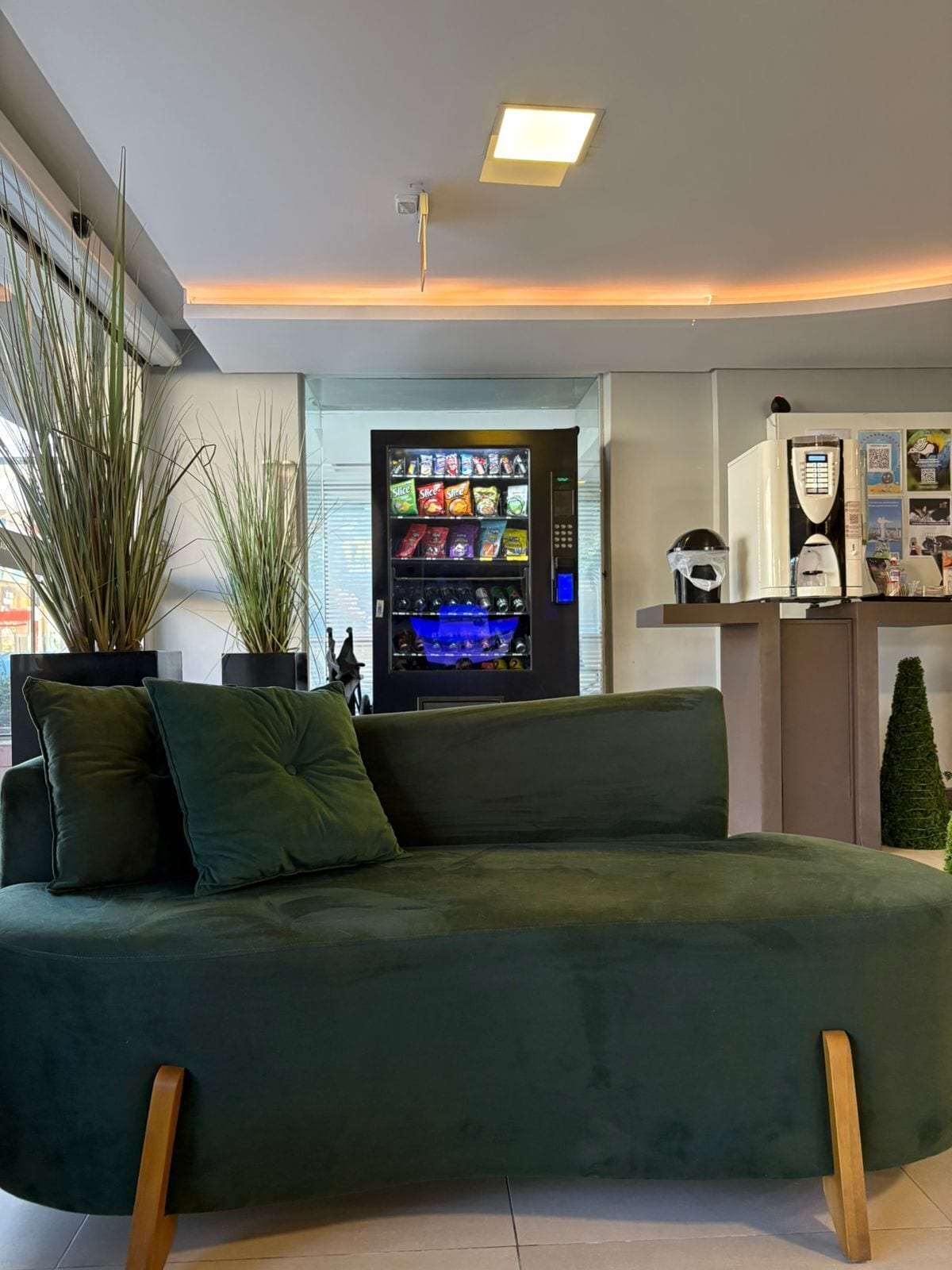 Foto - Hotel Palmas Executivo