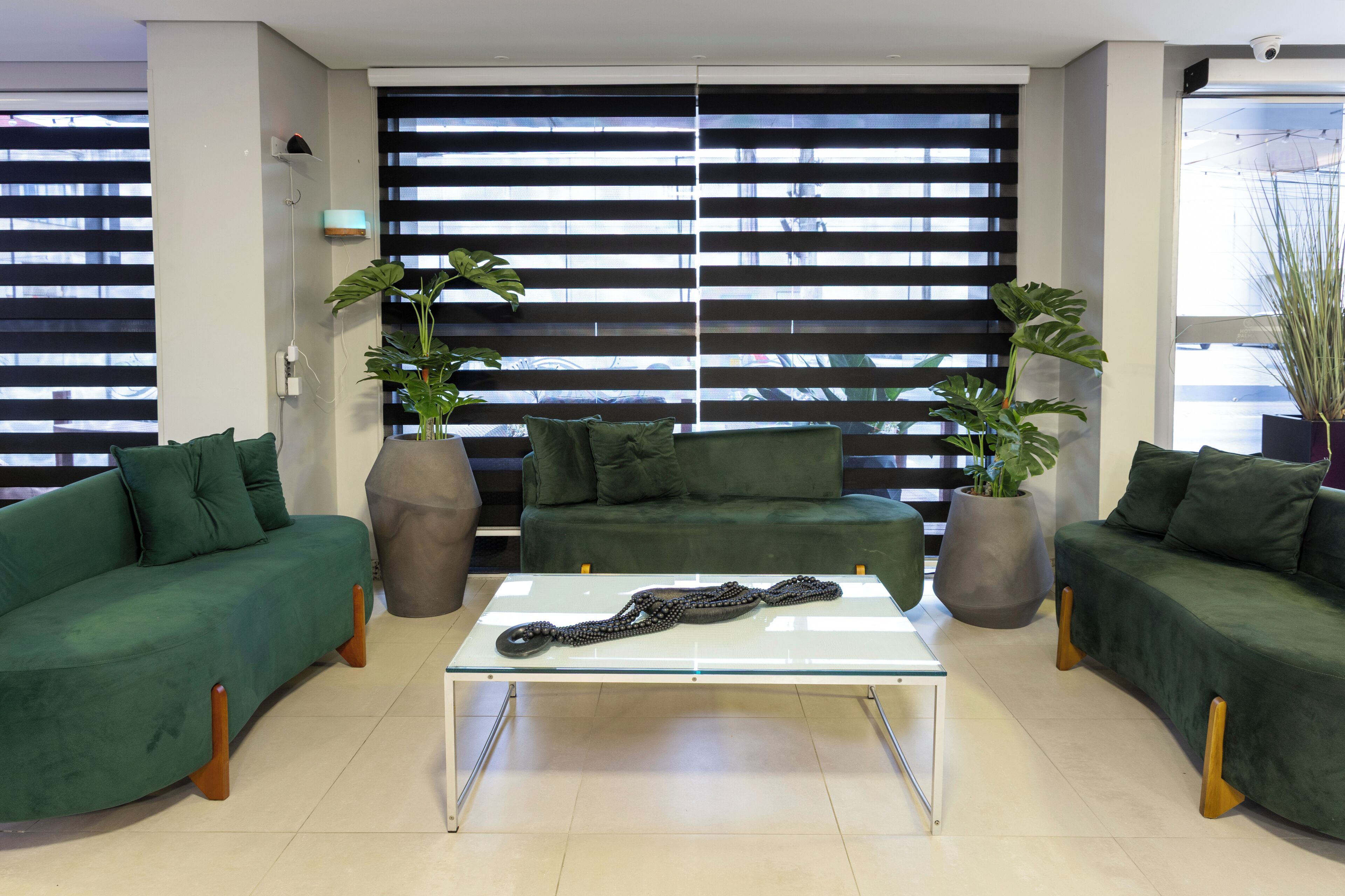 Foto - Hotel Palmas Executivo
