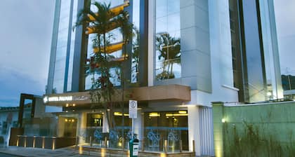 Hotel Palmas Executivo