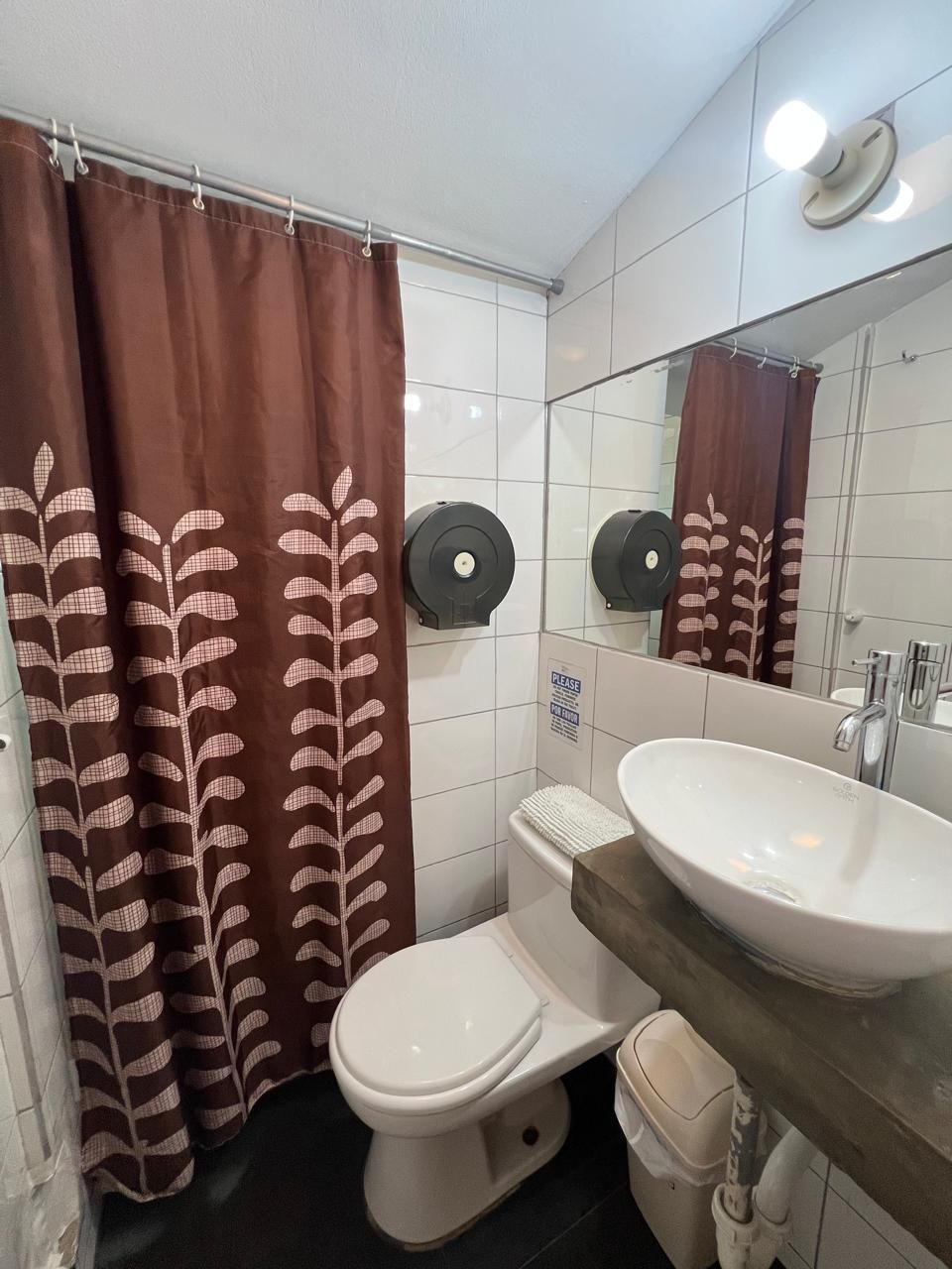 A bathroom with a toilet, sink, and shower curtain.