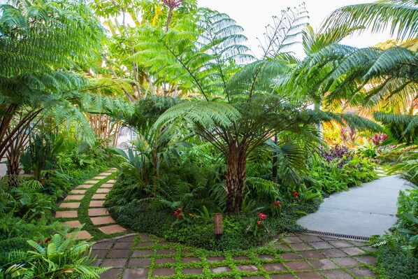 A garden pathway surrounded by lush greenery and a variety of plants.