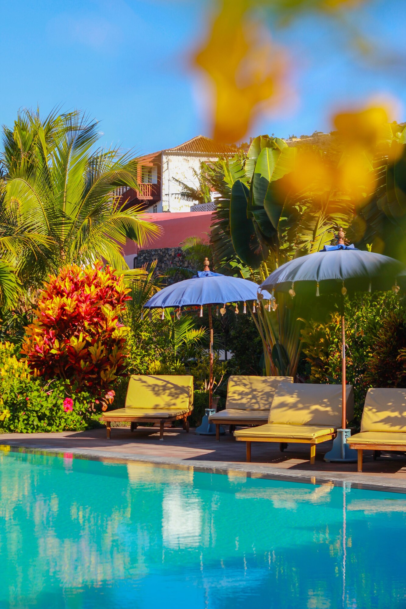 Outdoor pool, pool umbrellas, pool loungers
