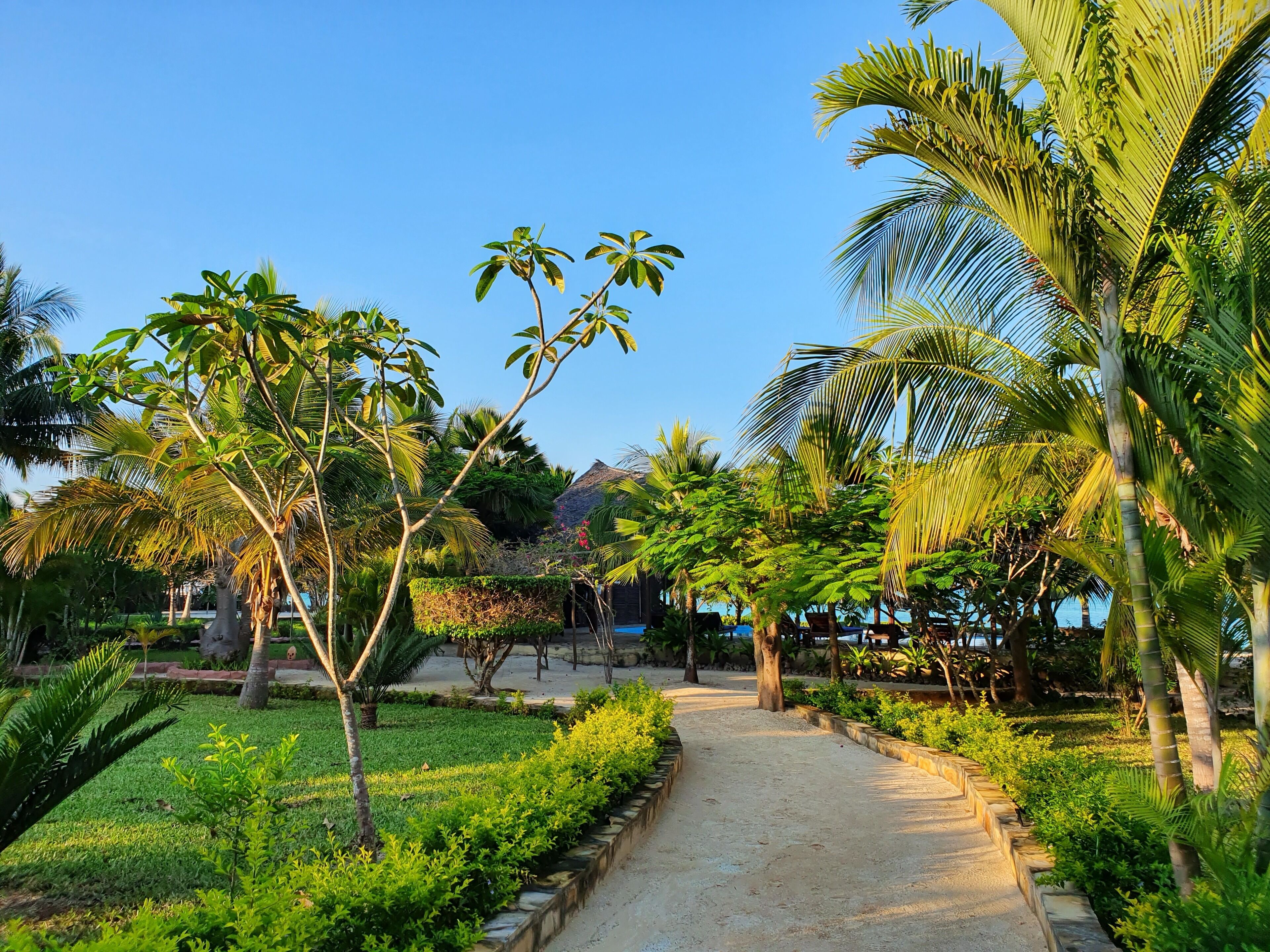 Vườn
