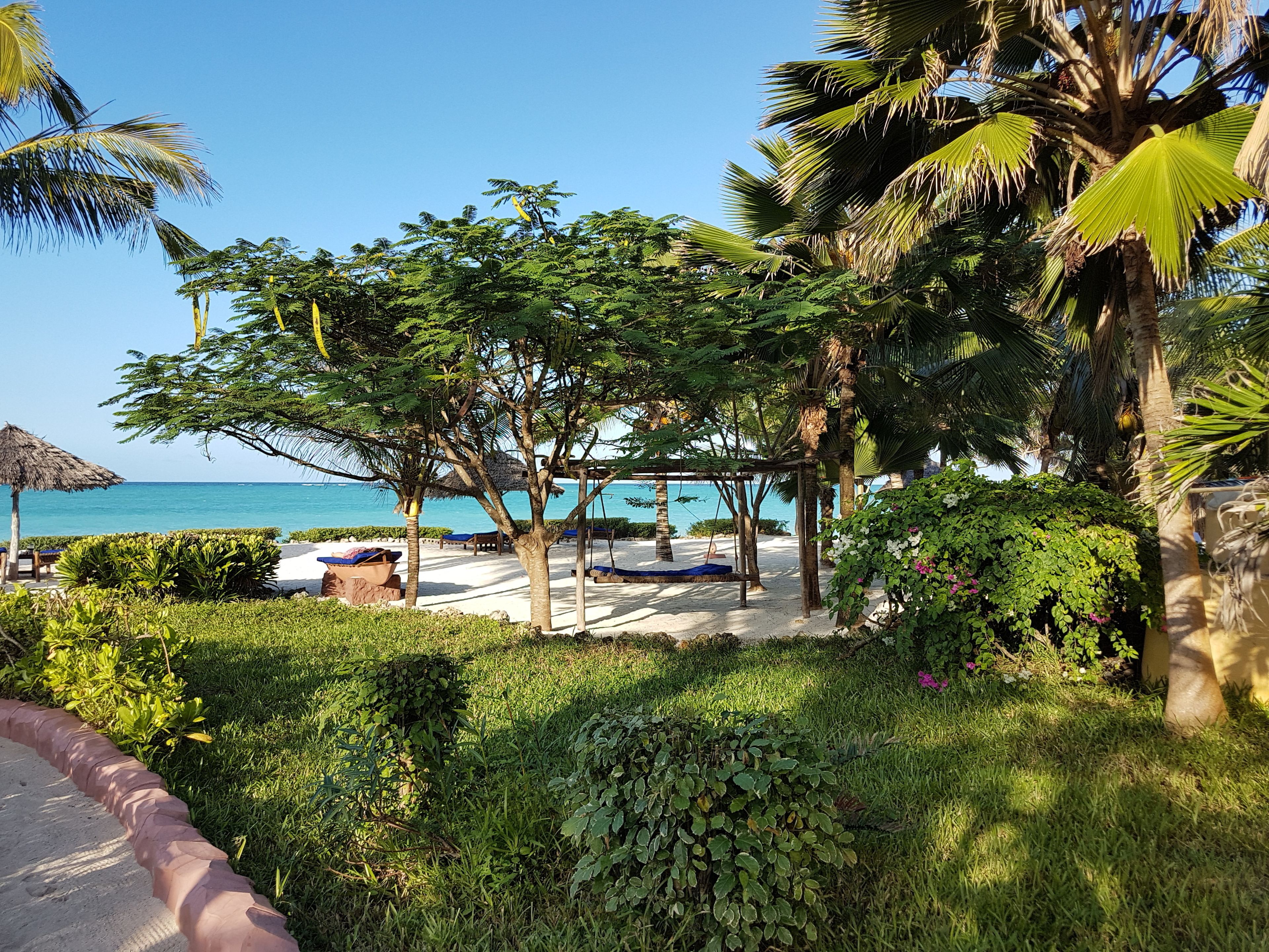 A beachside resort with a thatched umbrella, lounge chairs, and a swing set overlooking the ocean.