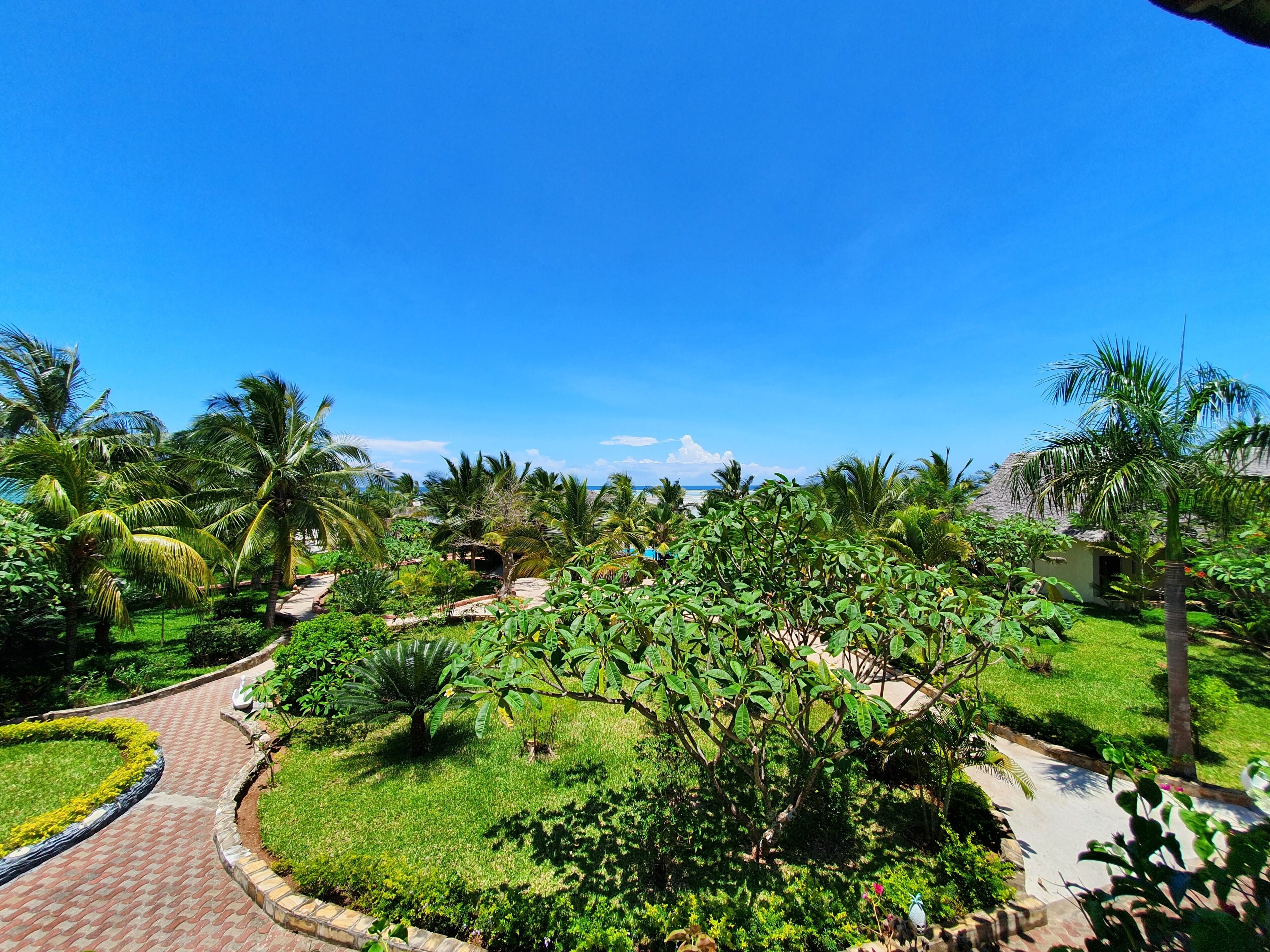 A tropical garden with palm trees, a pathway, and a thatched-roof building.
