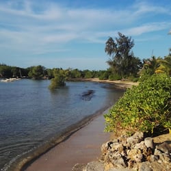 Private beach, sun-loungers, beach towels, beach massages