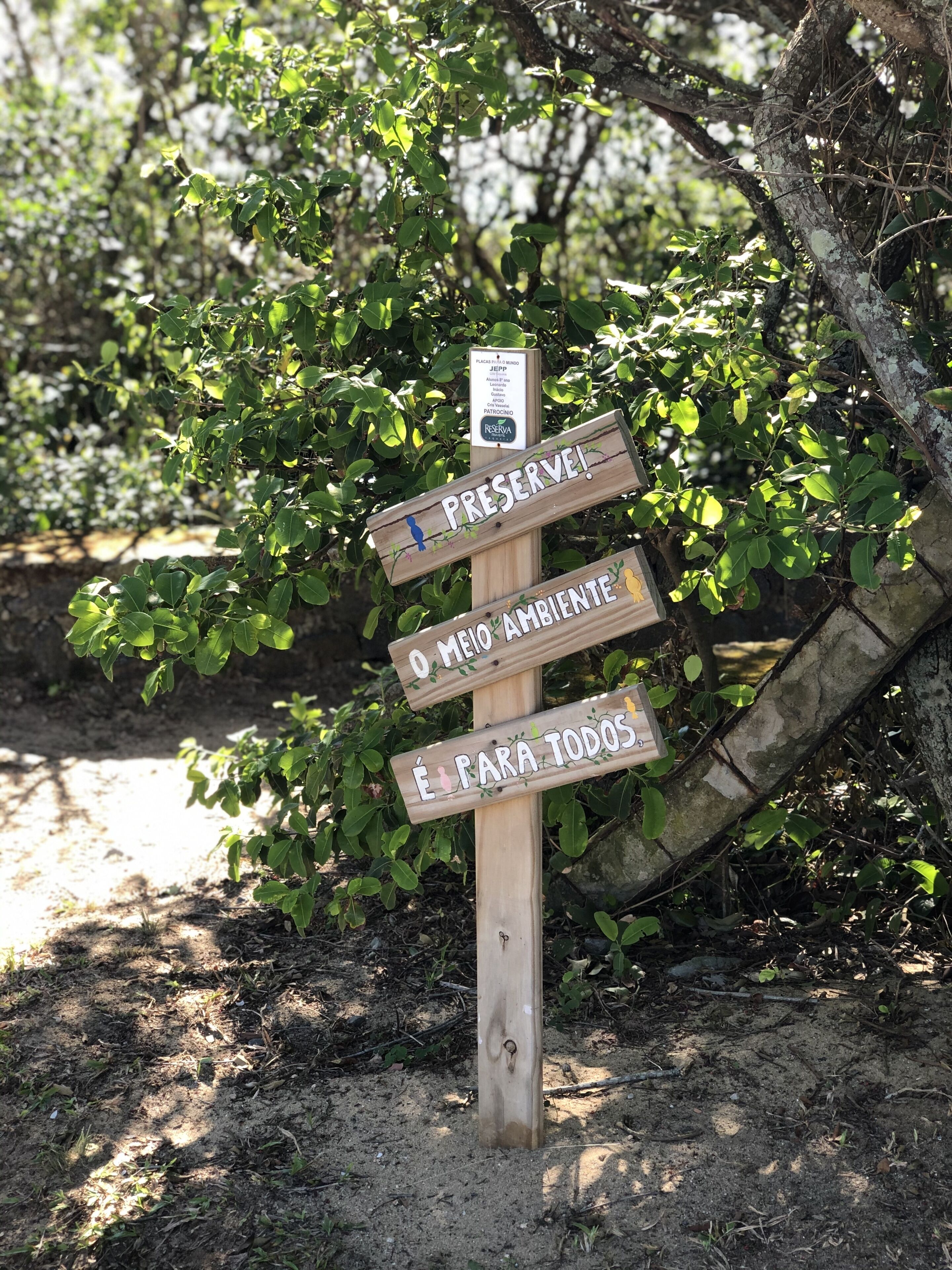 on the beach, white sand, sun-loungers, beach umbrellas