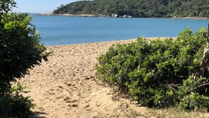 Una playa arenosa con vegetación y un mar azul cristalino.