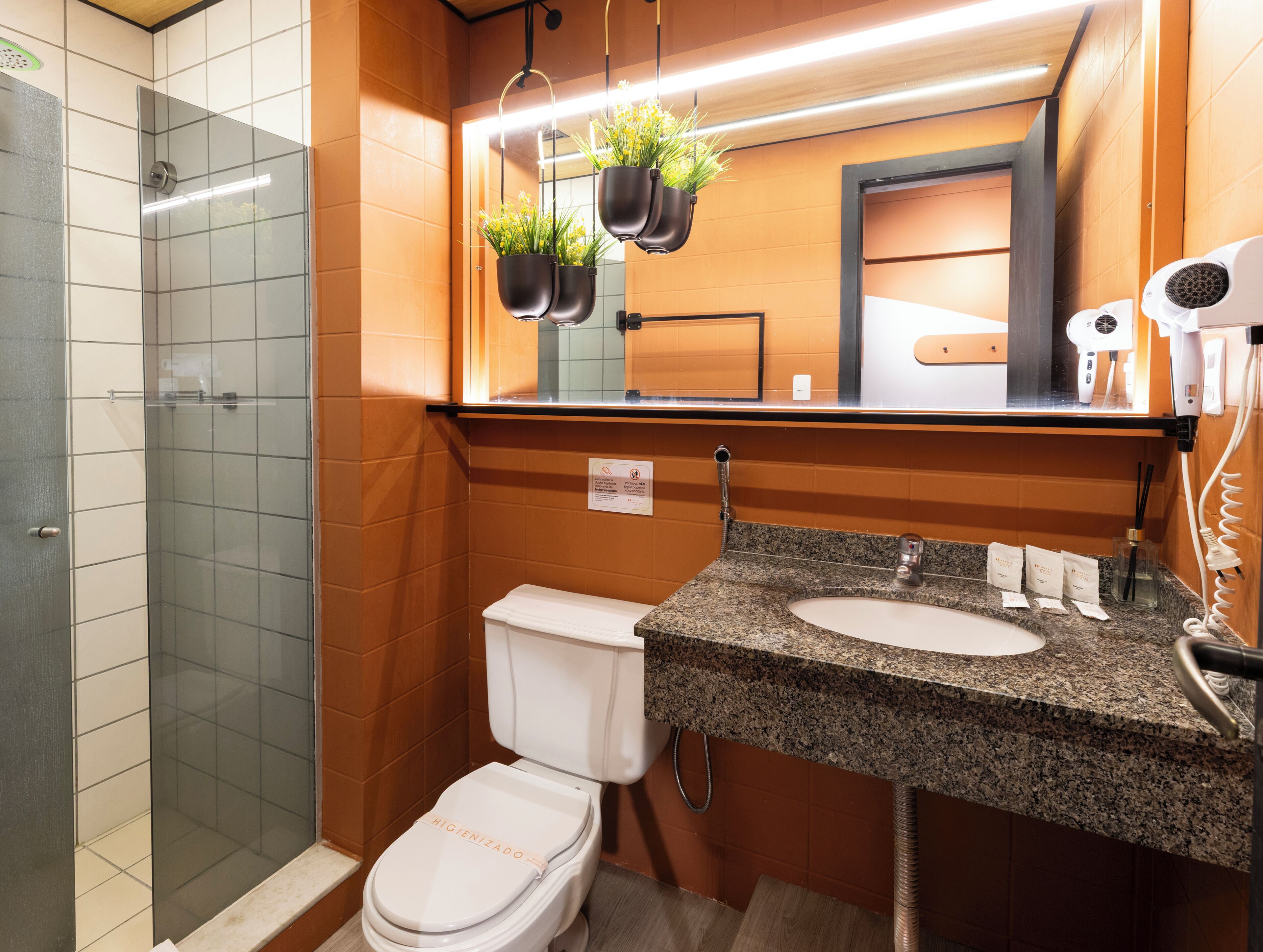 A bathroom with a shower, toilet, sink, and a mirror with a hanging plant.