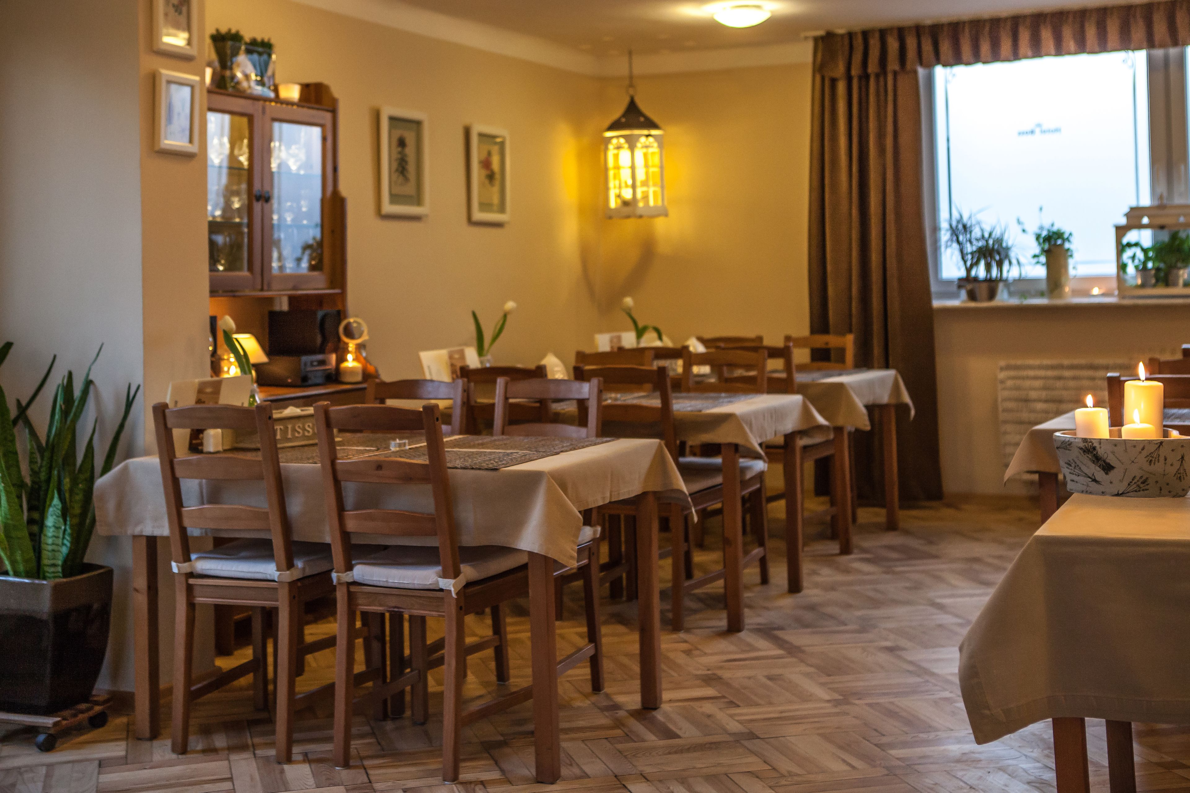 Un comedor con mesas y sillas de madera, un farol colgante y plantas en macetas.