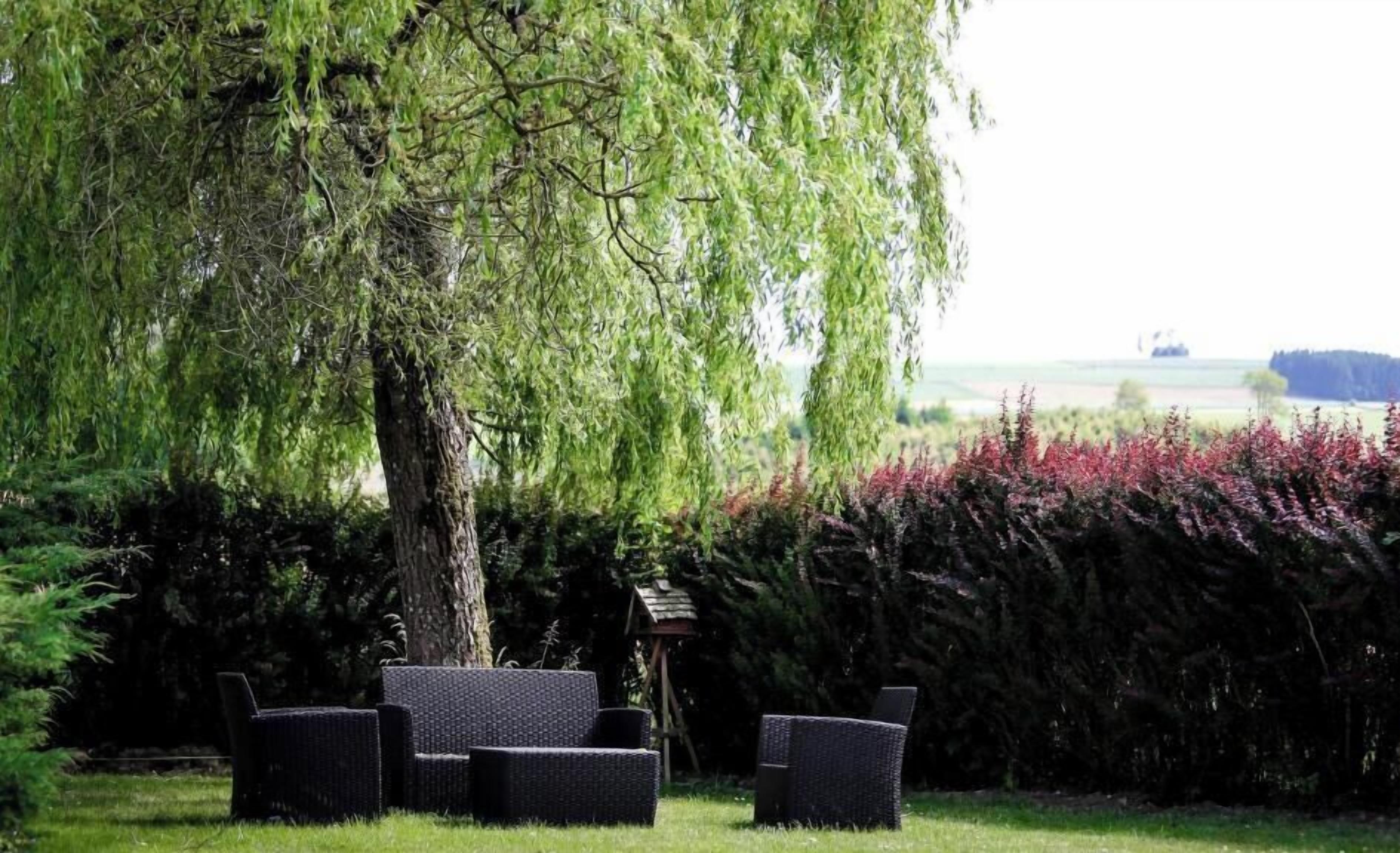 Ein Garten mit einem großen Baum, einem Vogelhäuschen und Gartenmöbeln.